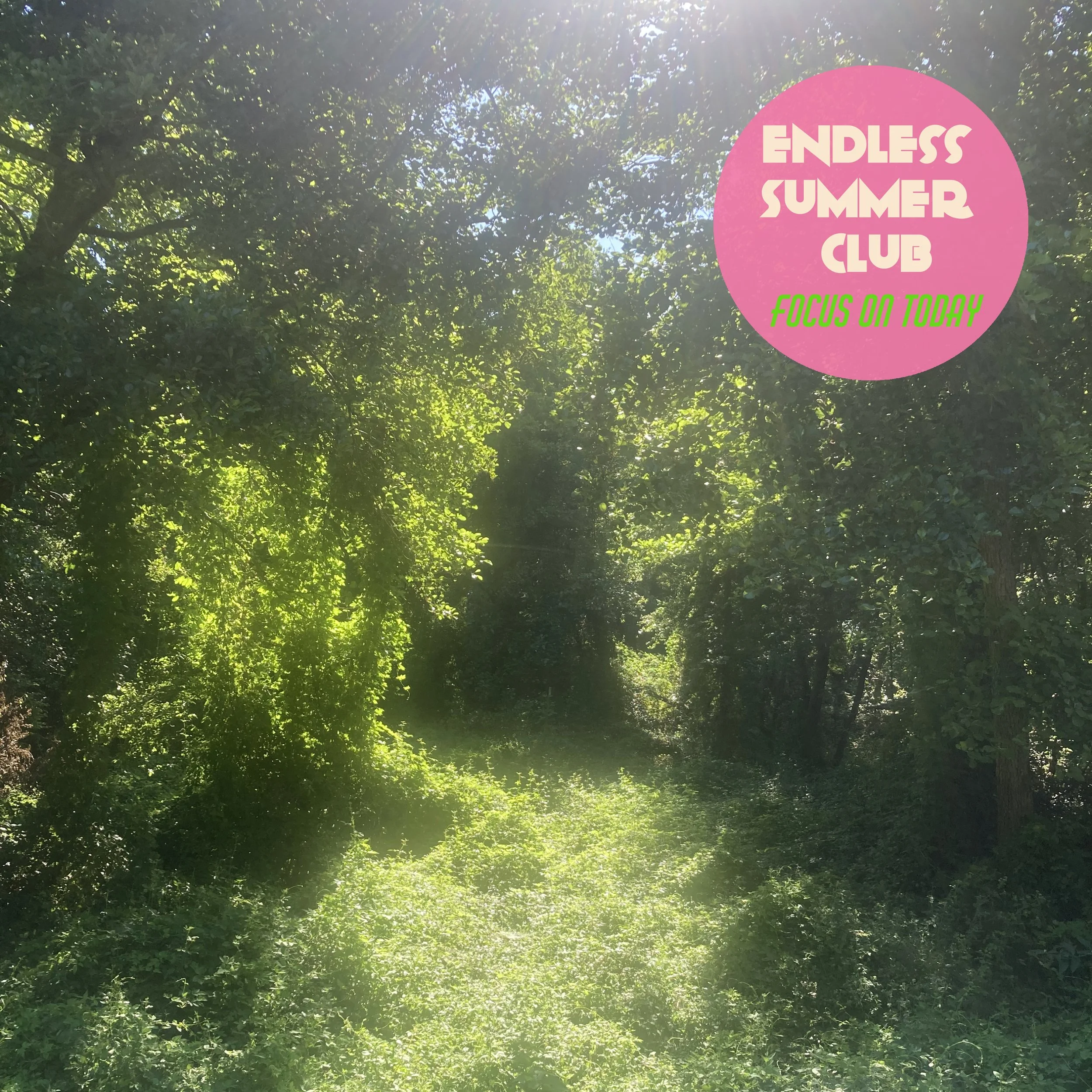 ENDLESS SUMMER CLUB Focus On Today v2.jpg