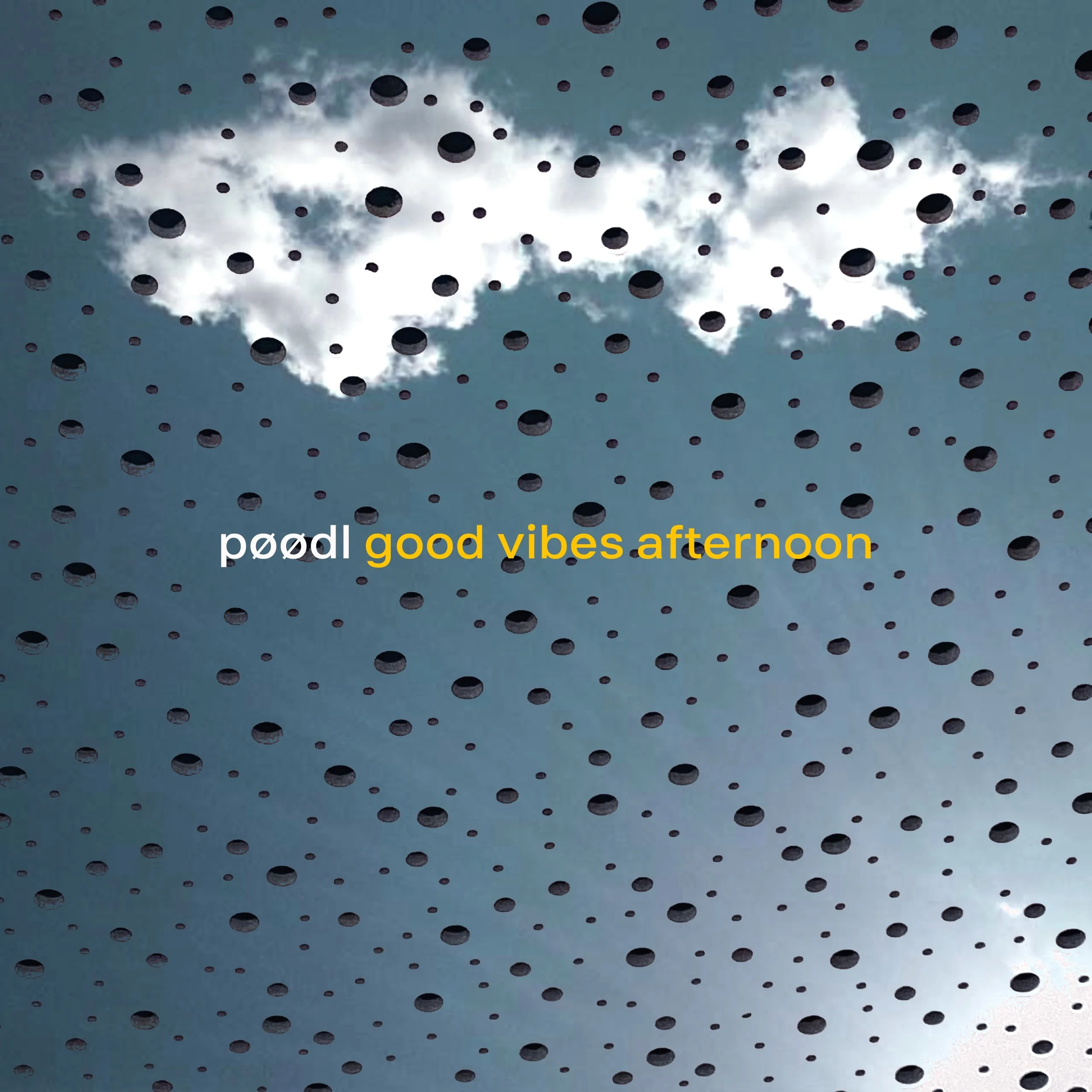 POODL good vibes afternoon OK.jpg