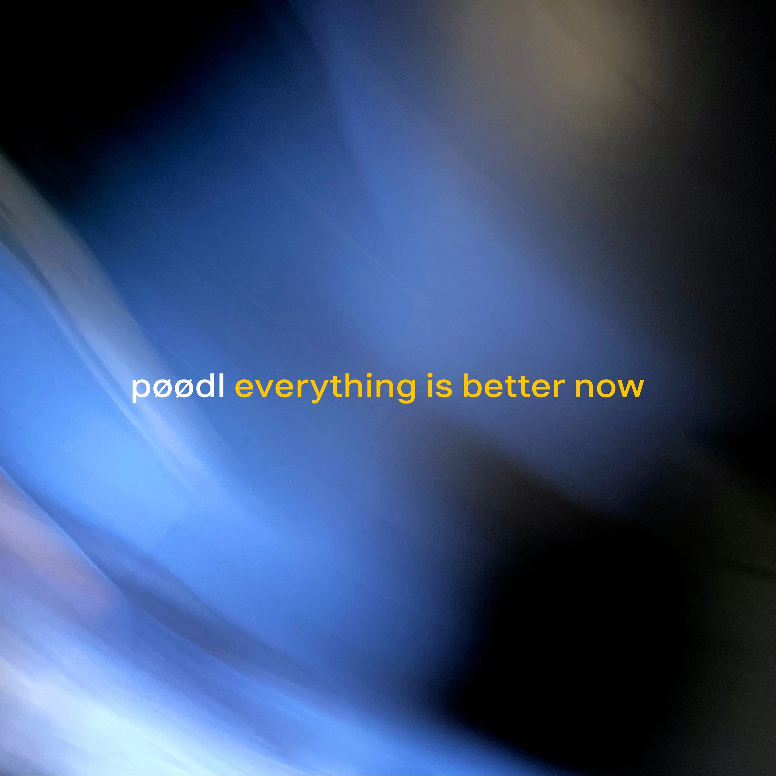 POODL everything is better now.jpg