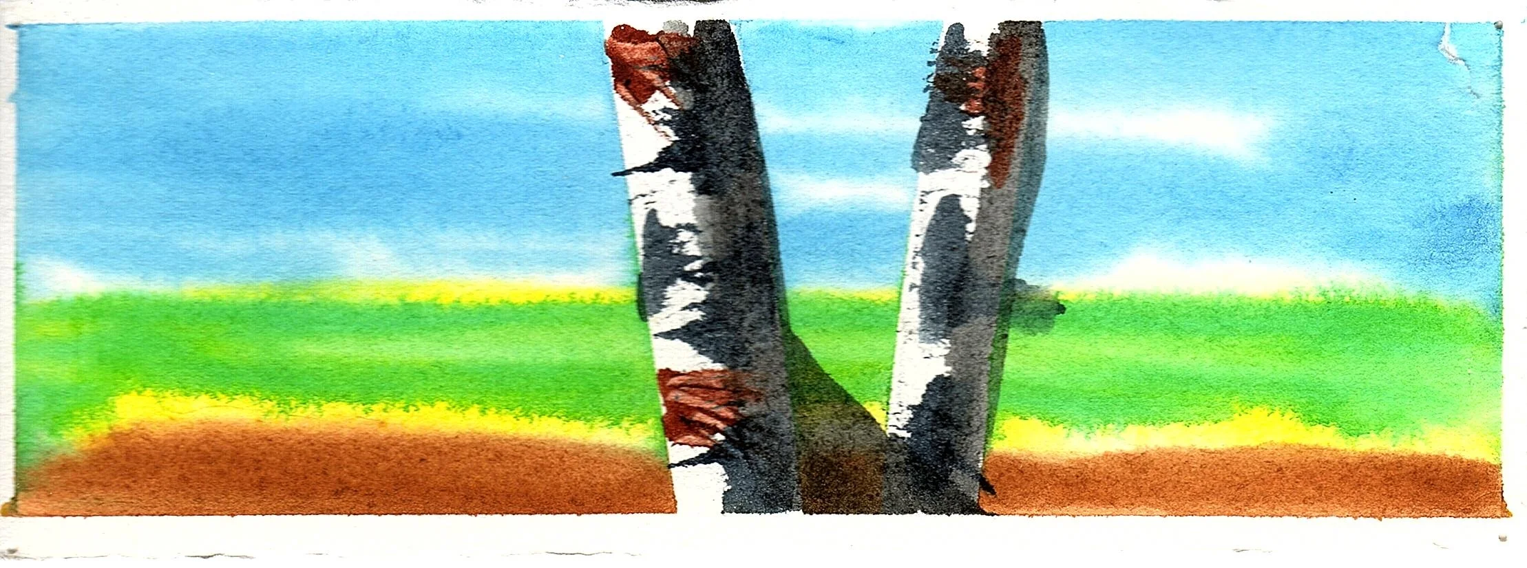 birch trees.jpg