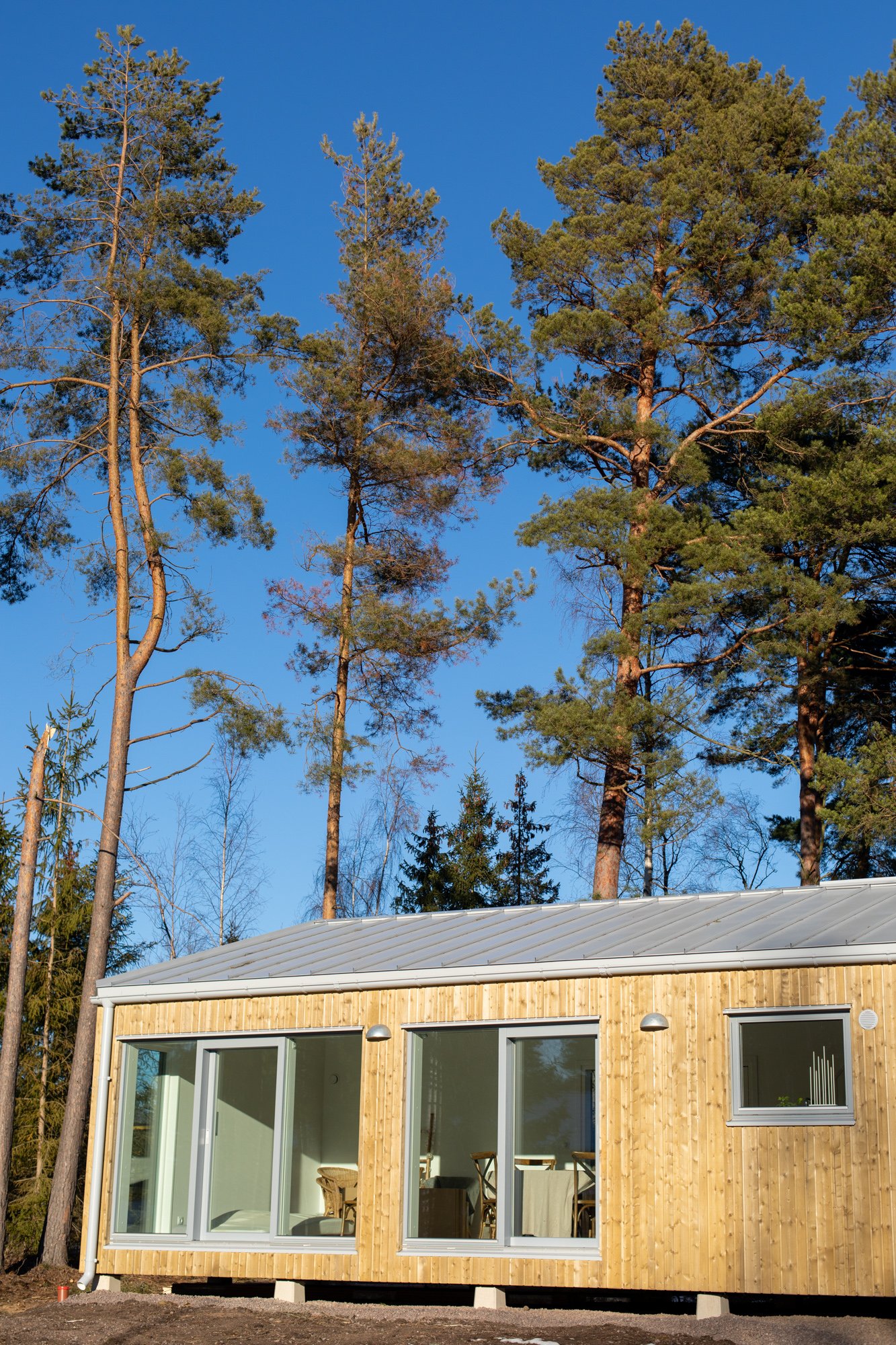 Vårvinga-18.jpg