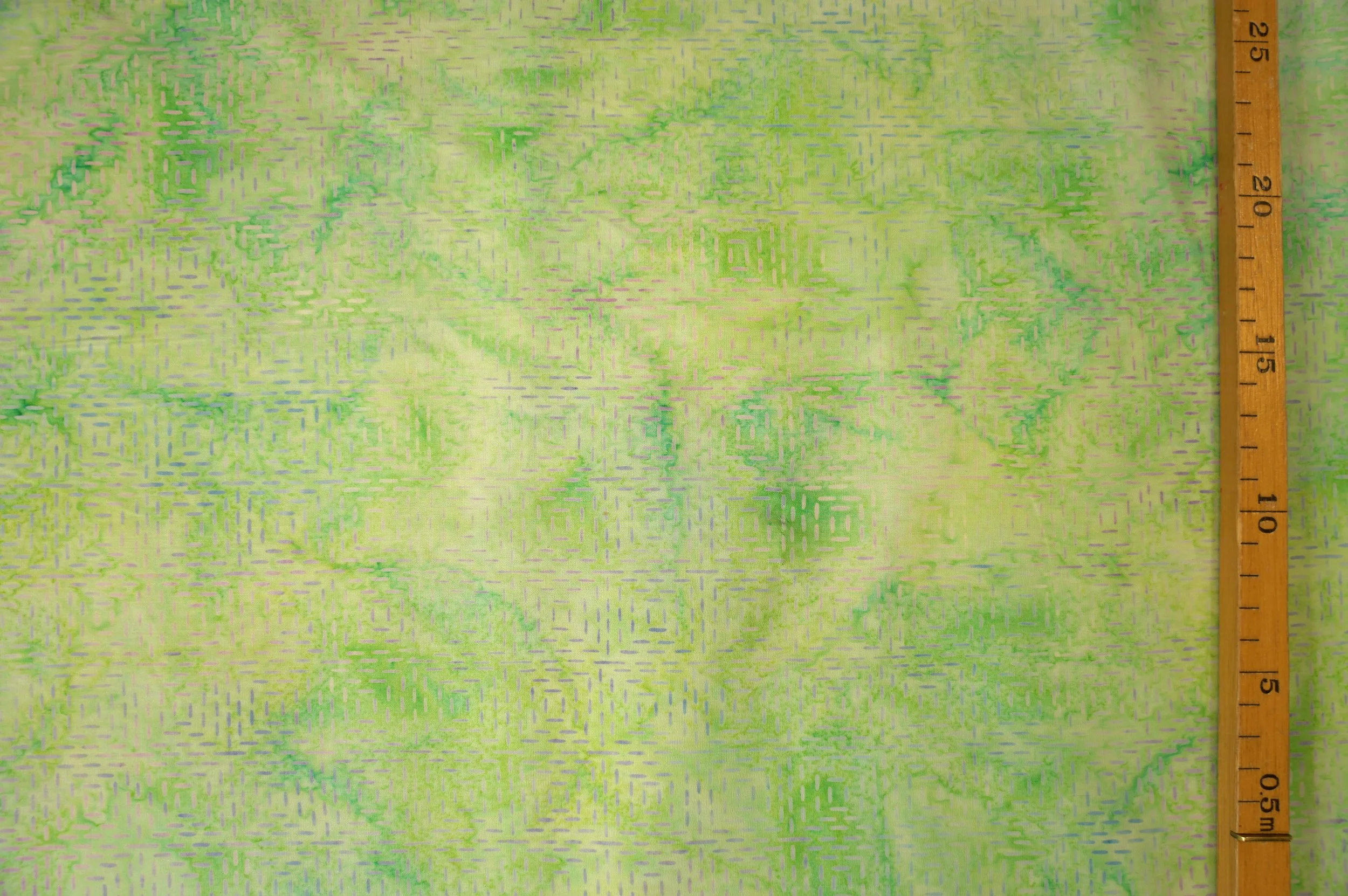 BT00007.JPG