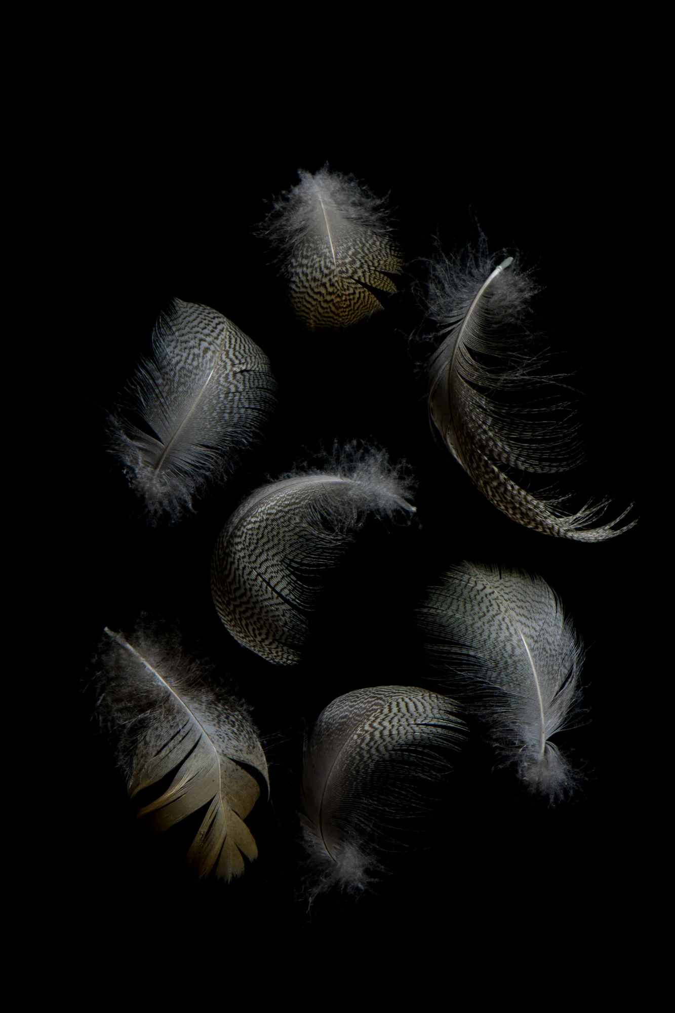 DSC_7670-webHelene Pors-stilllifeHP.jpg