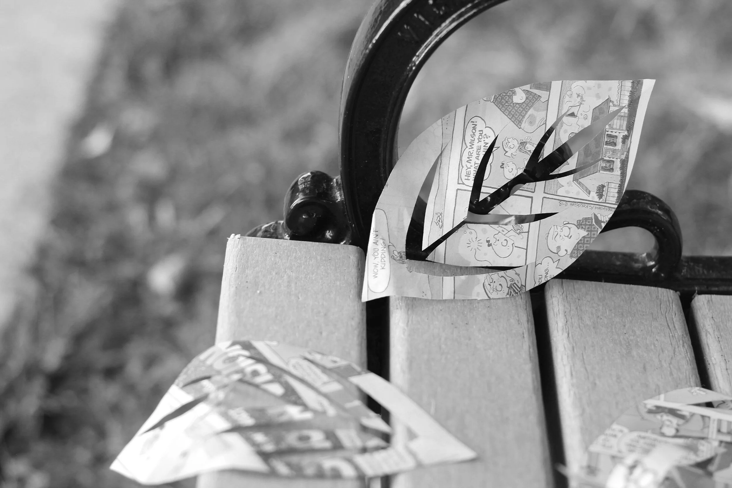 IMG_4226 B&W copy.jpg