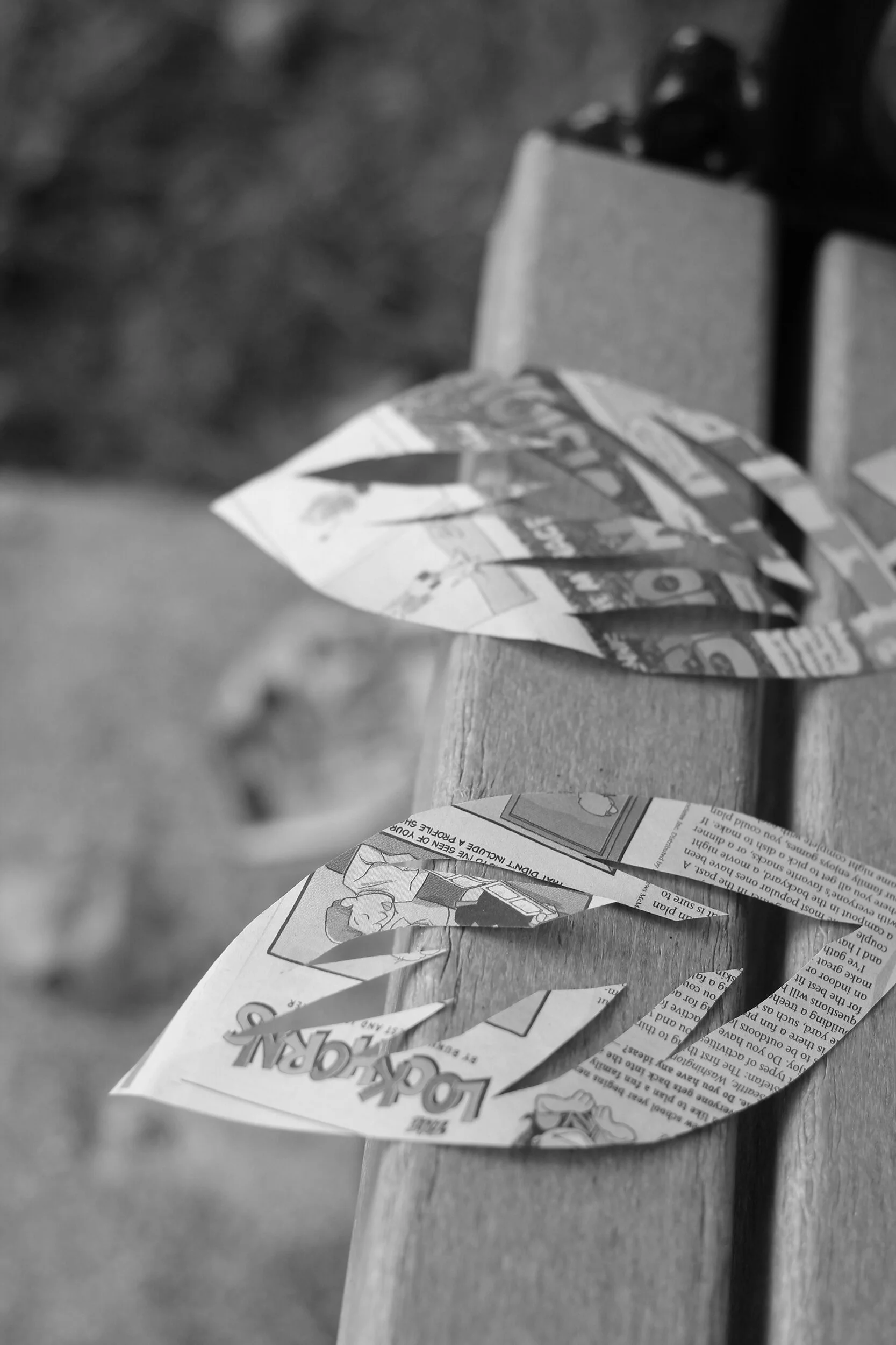 IMG_4224 B&W copy.jpg