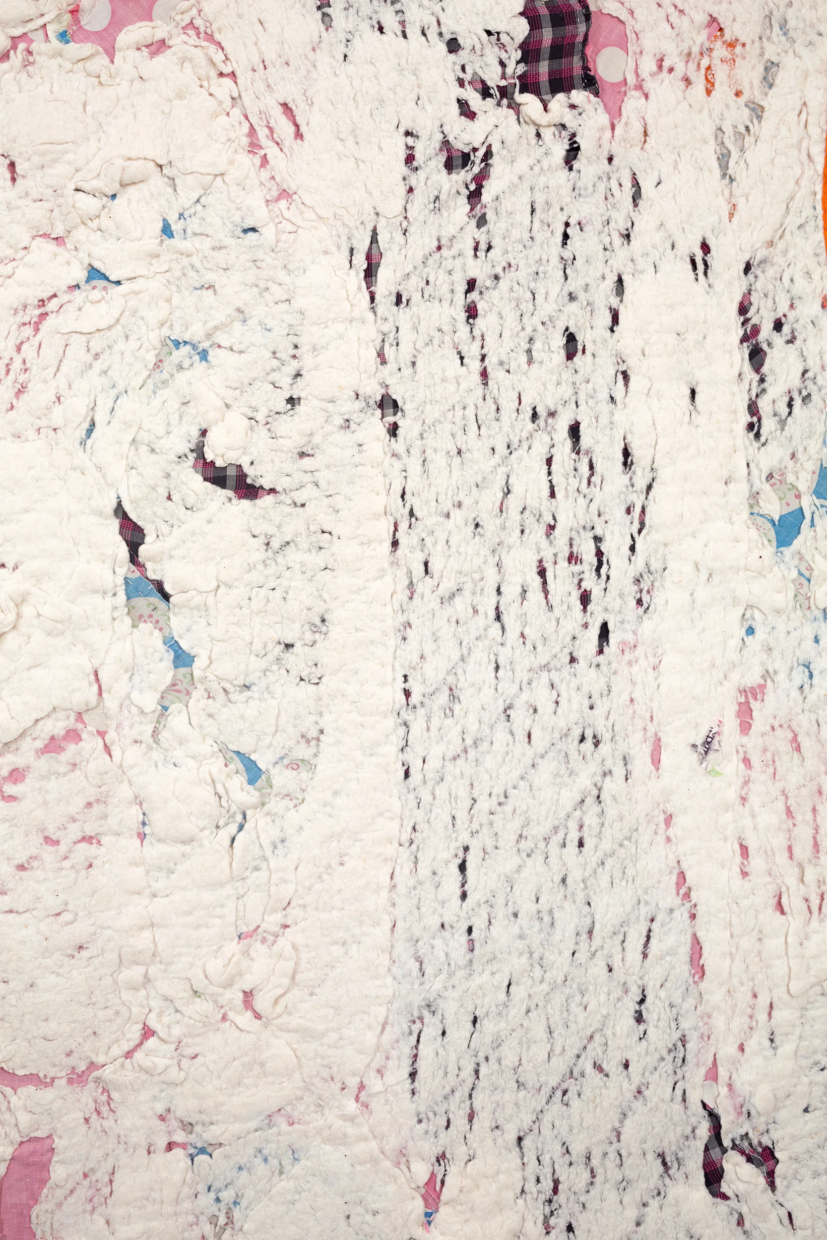 Lay Bare, Lay Bear (Detail)