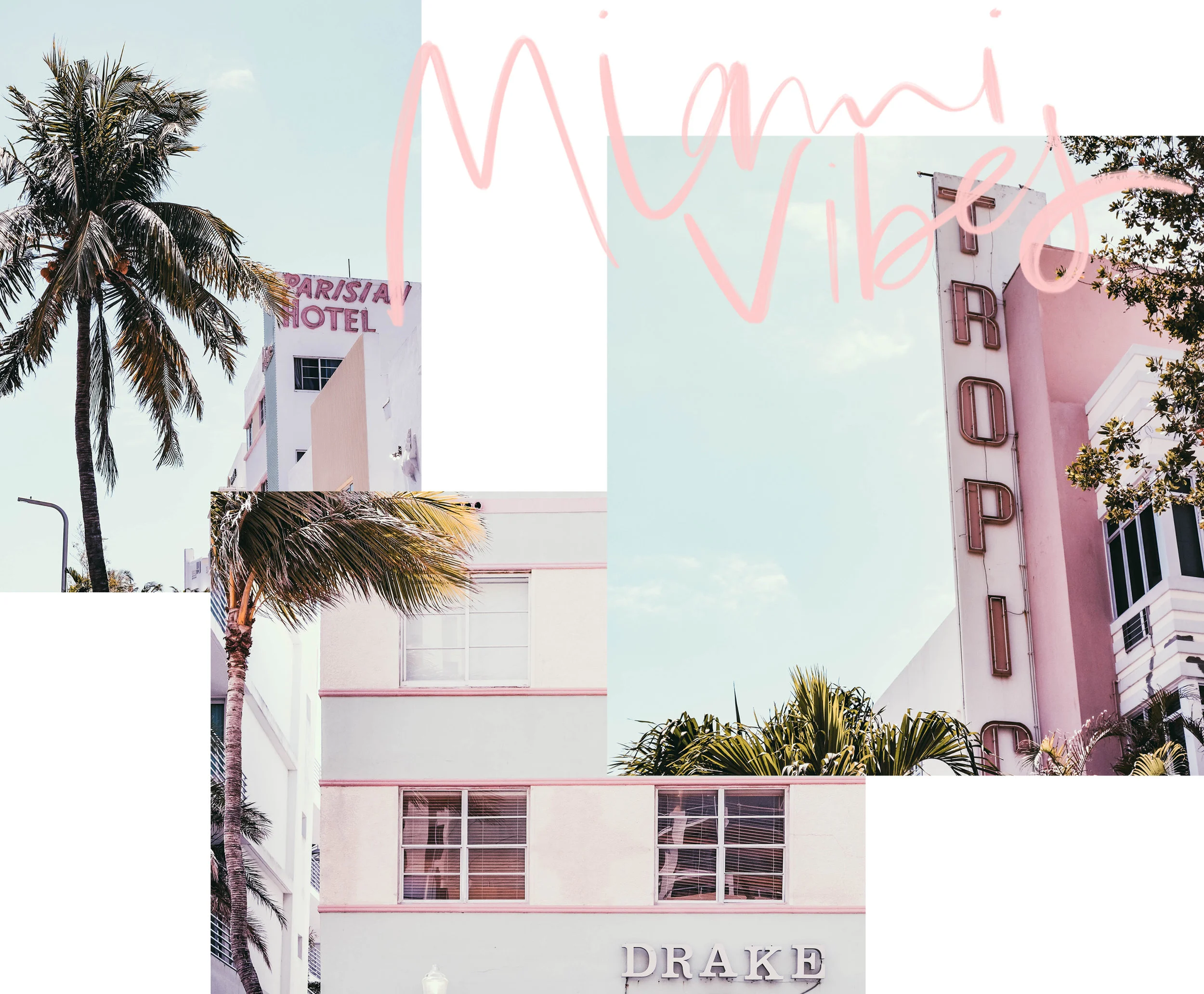 south_beach_silvia_cantu_samualfa.jpg