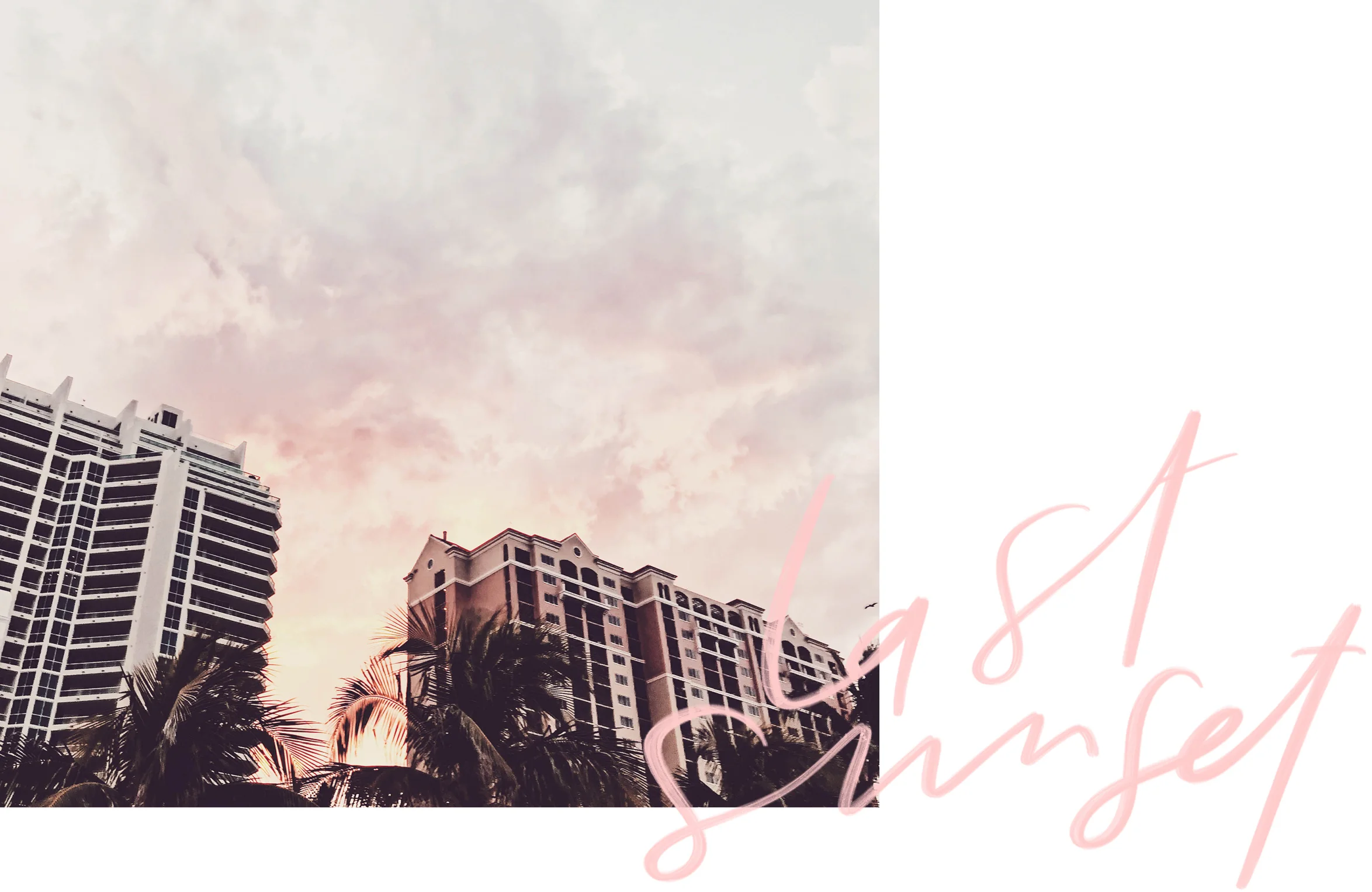 silvia_cantu_samualfa_FORT_LAUDERDALE.jpg