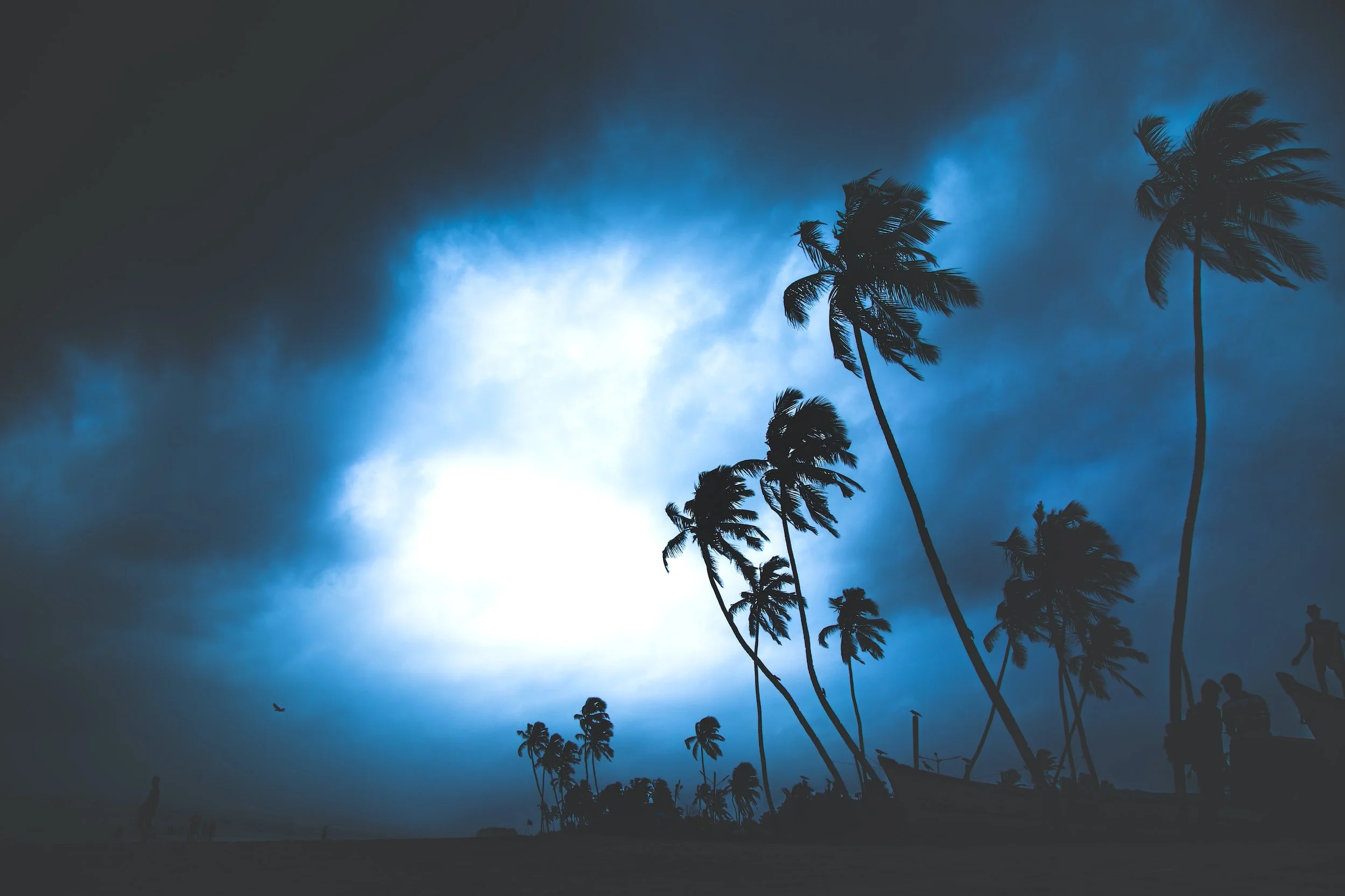 2023 Homeowner's Insurance Update — Couture Real Estate