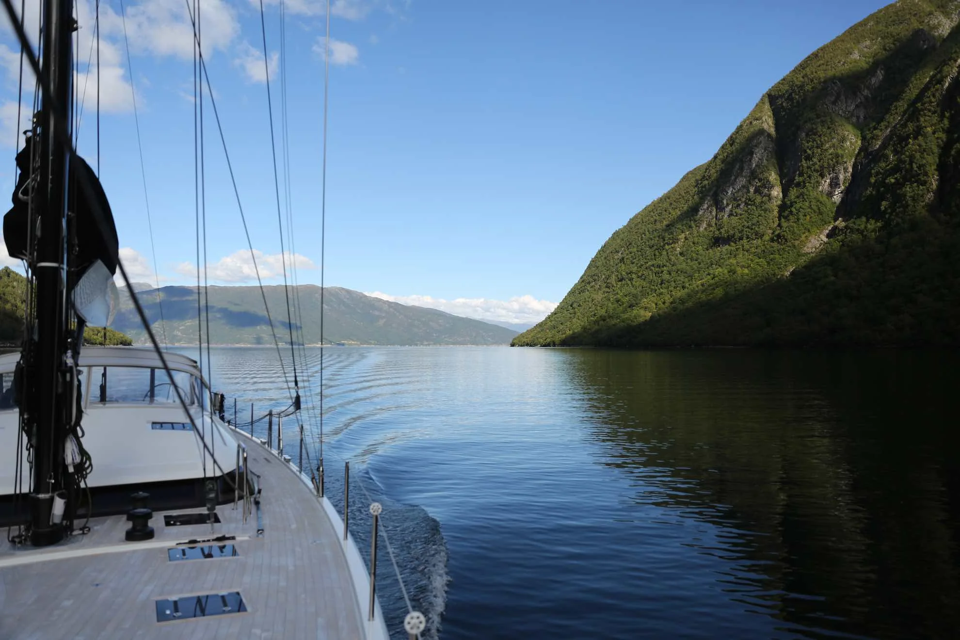 Grün in allen Nuancen