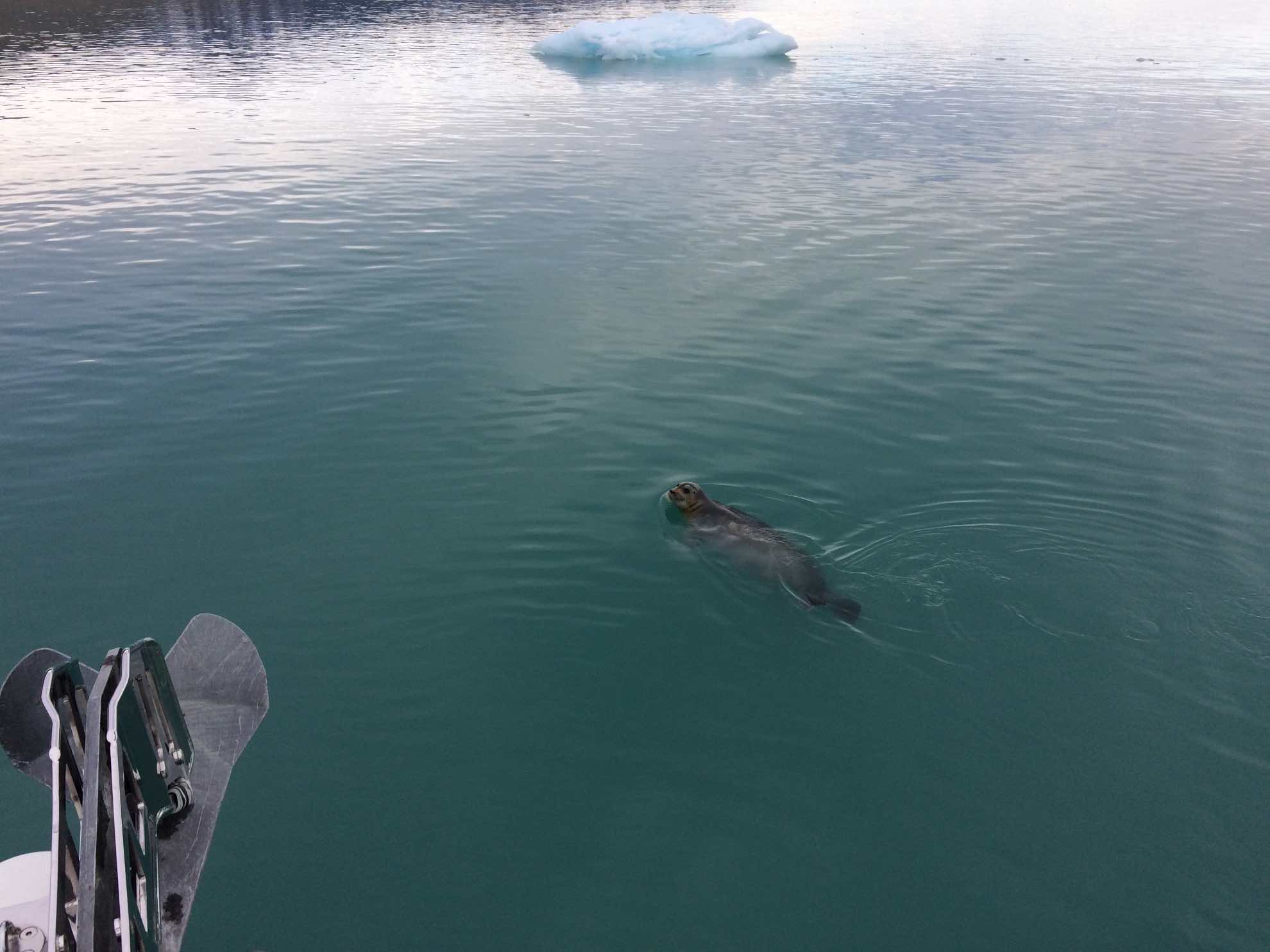 Aus dem Wasser oder aus der Luft.