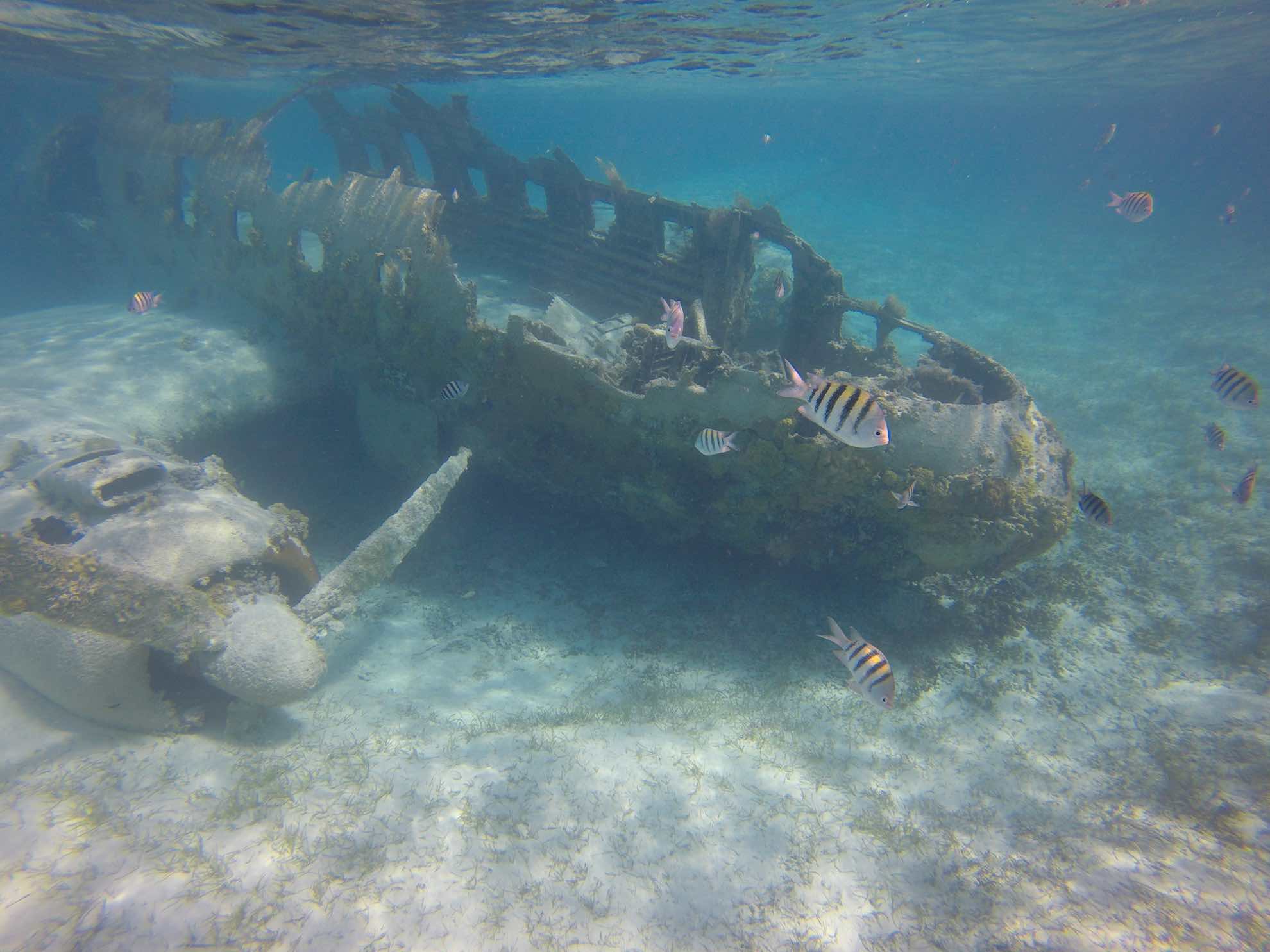 Spannende Geschichte unter Wasser