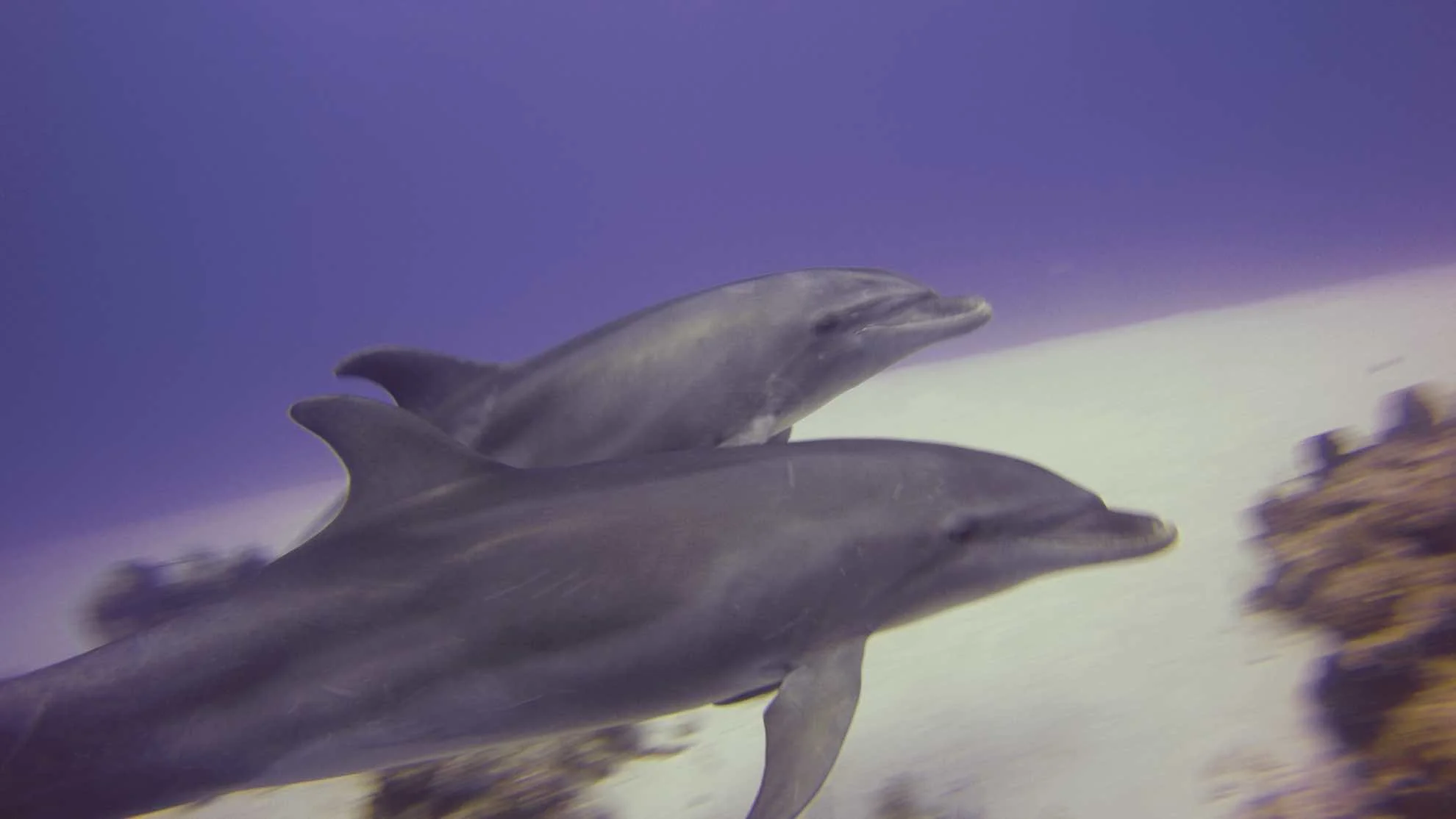 Ab ins klarste Wasser der Welt