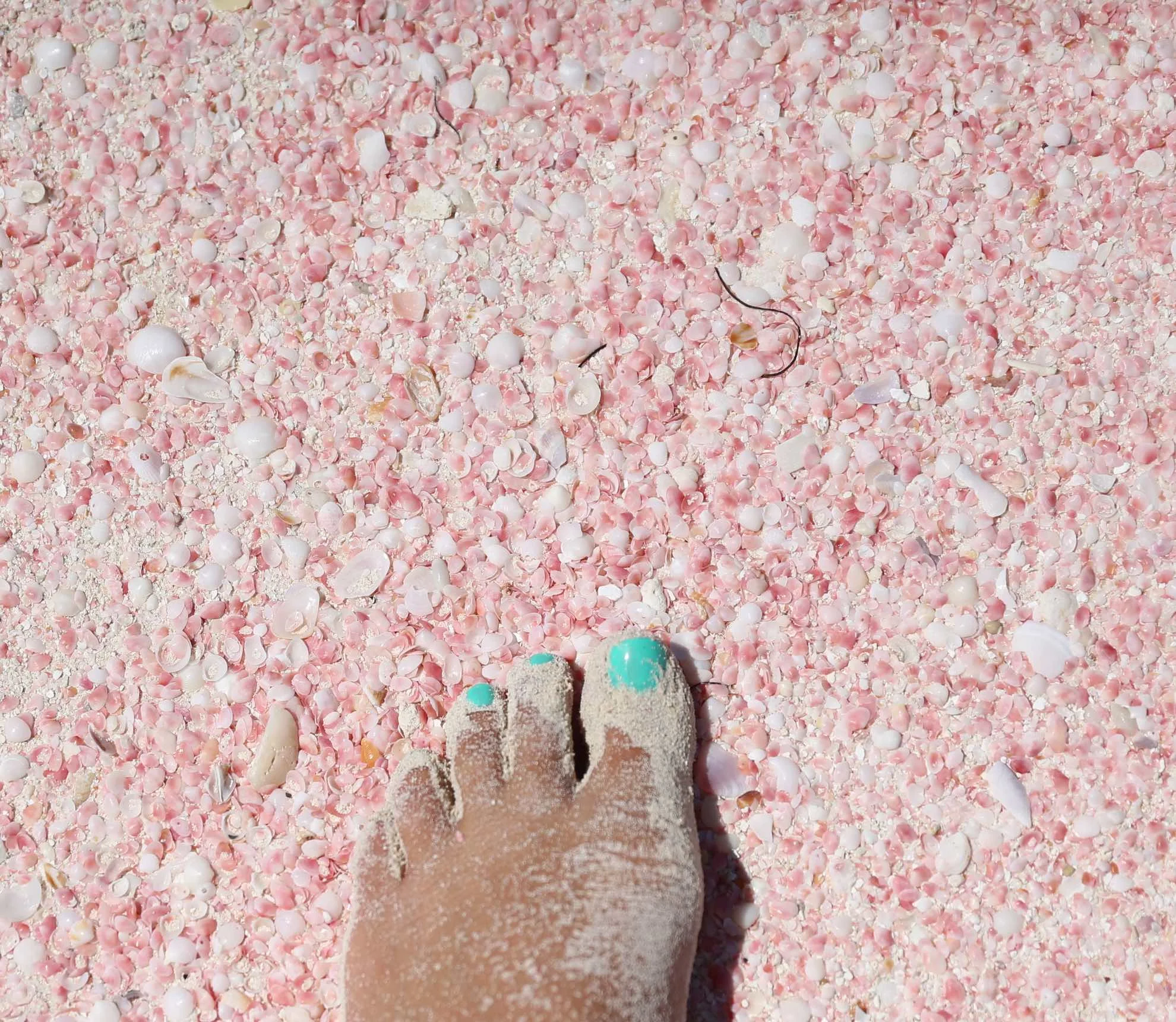 Farbenspiel der Natur