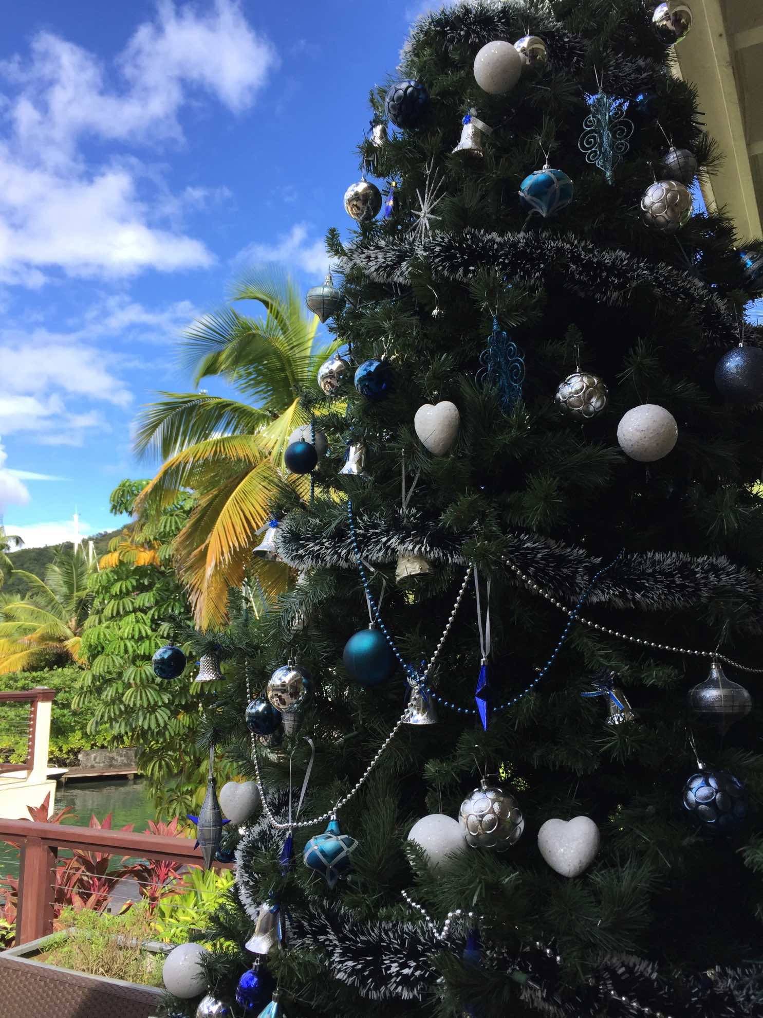 Weihnachtsstimmung in der Karibik