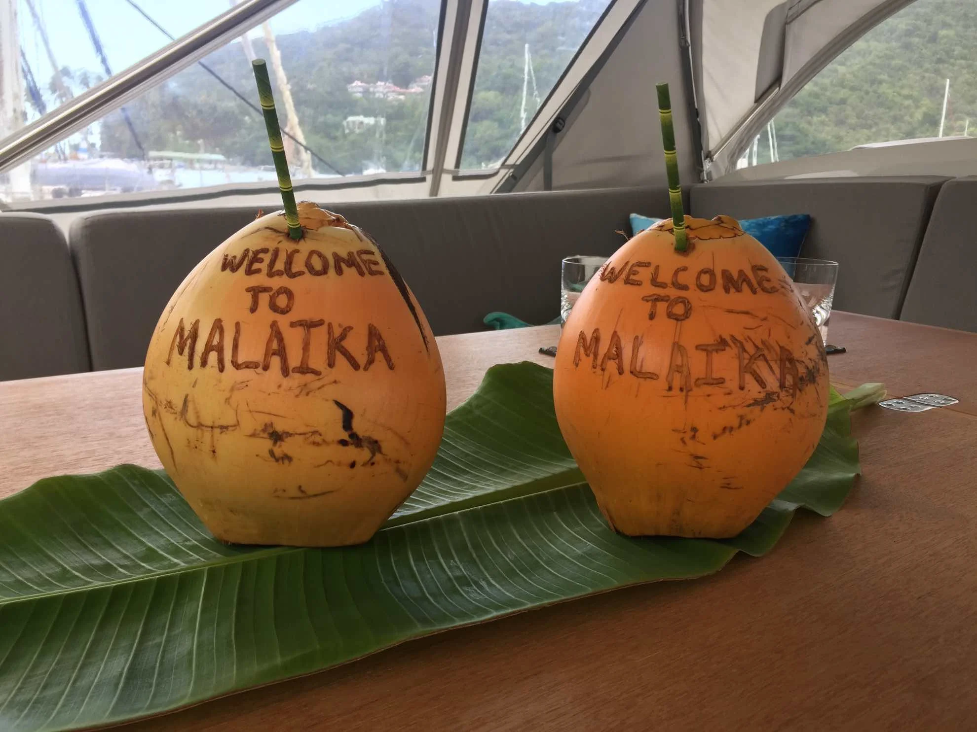 Endlich wieder an Bord