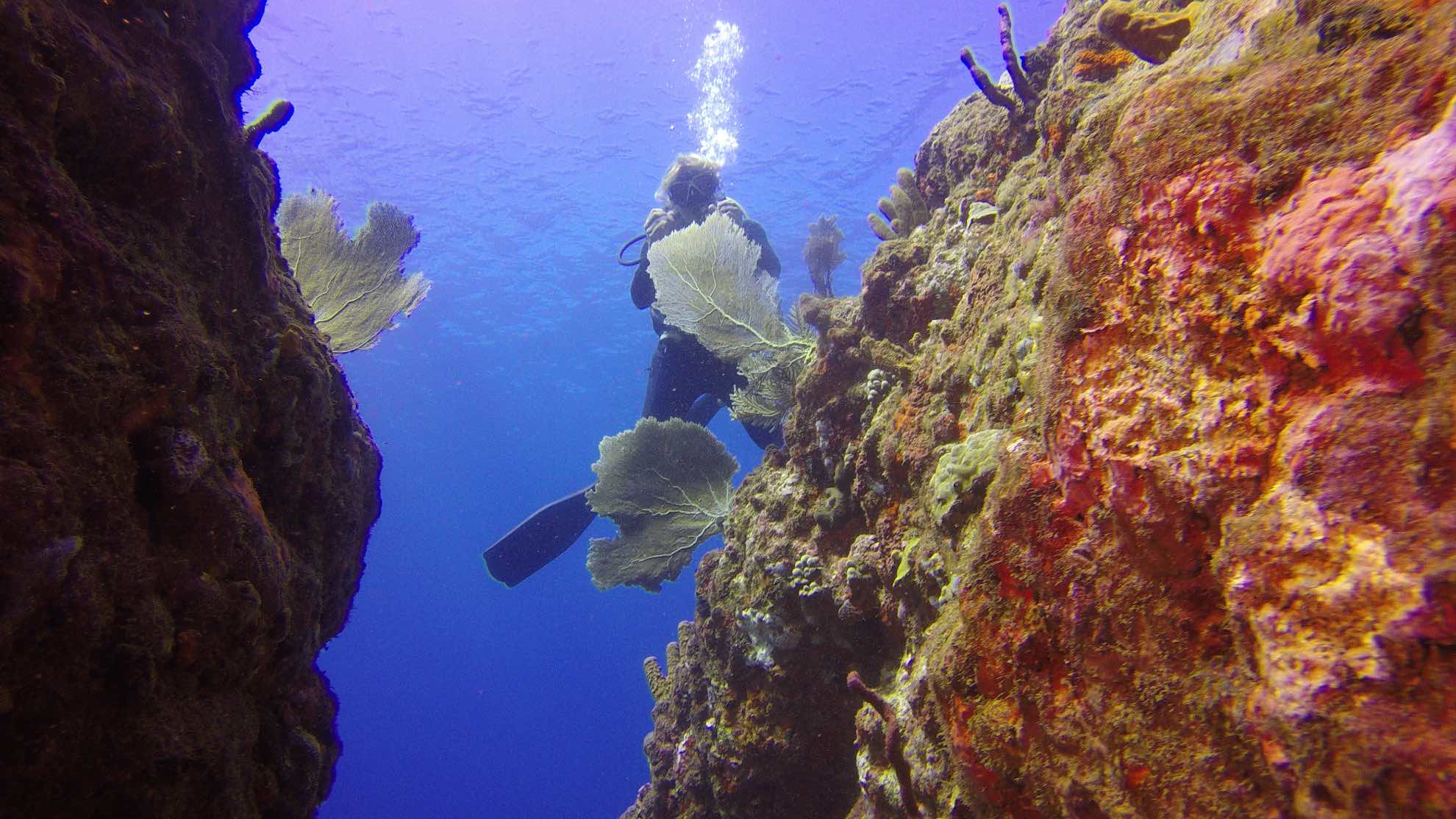 Unterwegs im Jacques Cousteau Unterwasser-Nationalpark