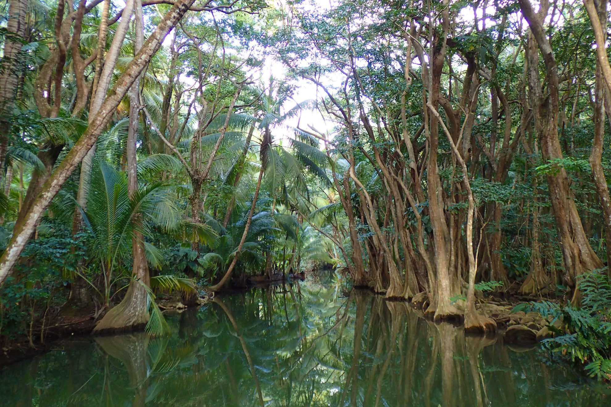 Noch mehr Abenteuer – und auf den Spuren von Jack Sparrow