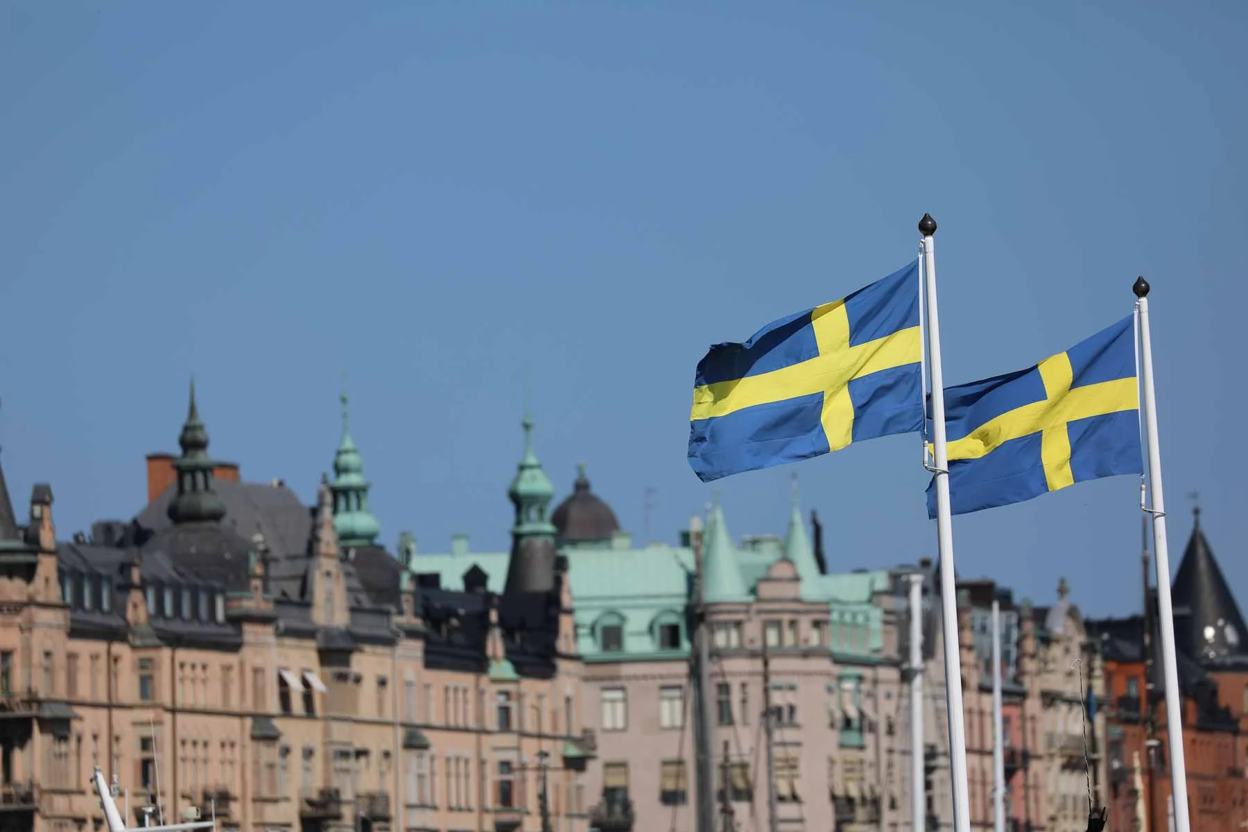 Vom Garten in die Stadt