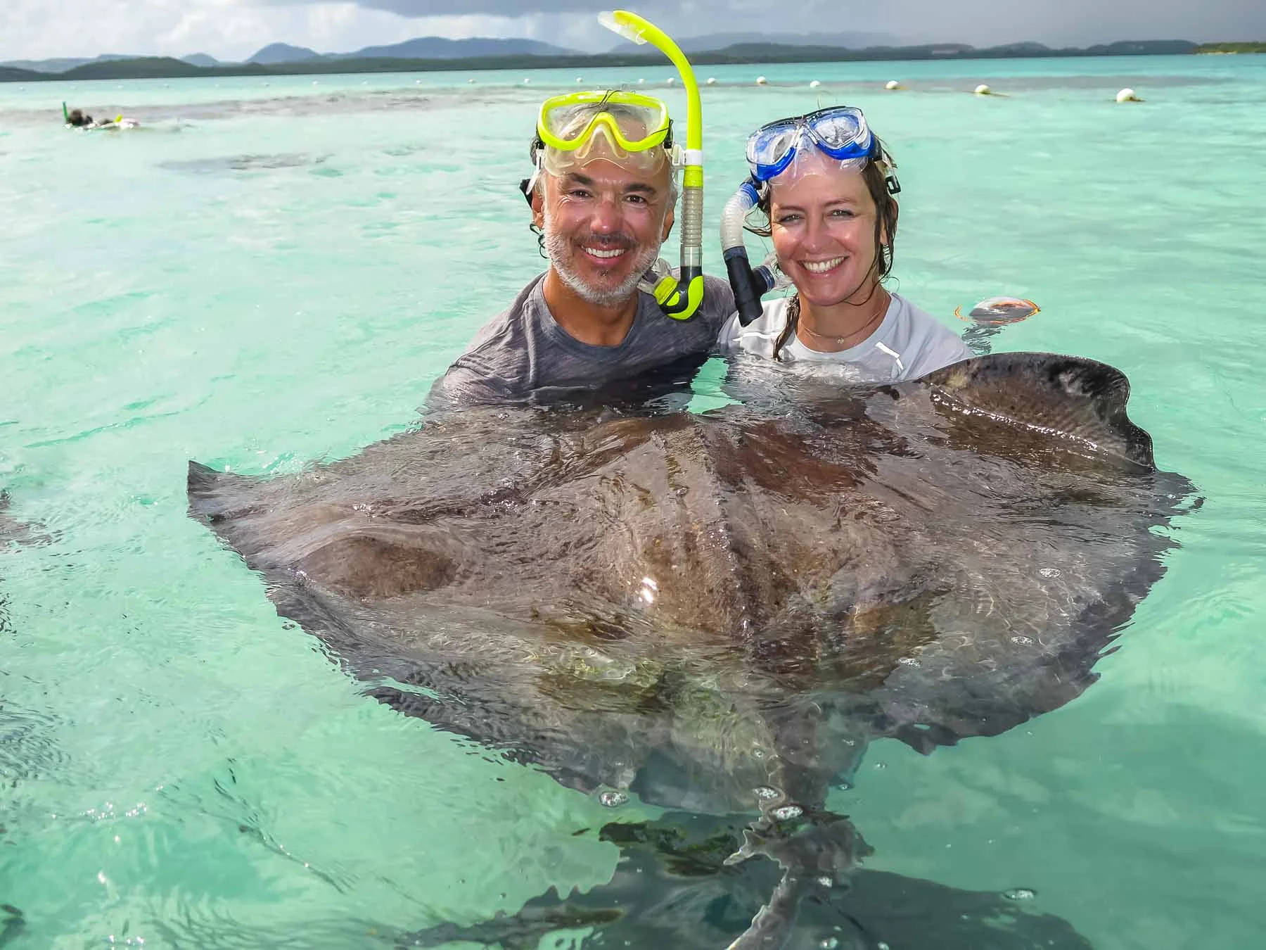 Mit Rochen am Riff schnorcheln