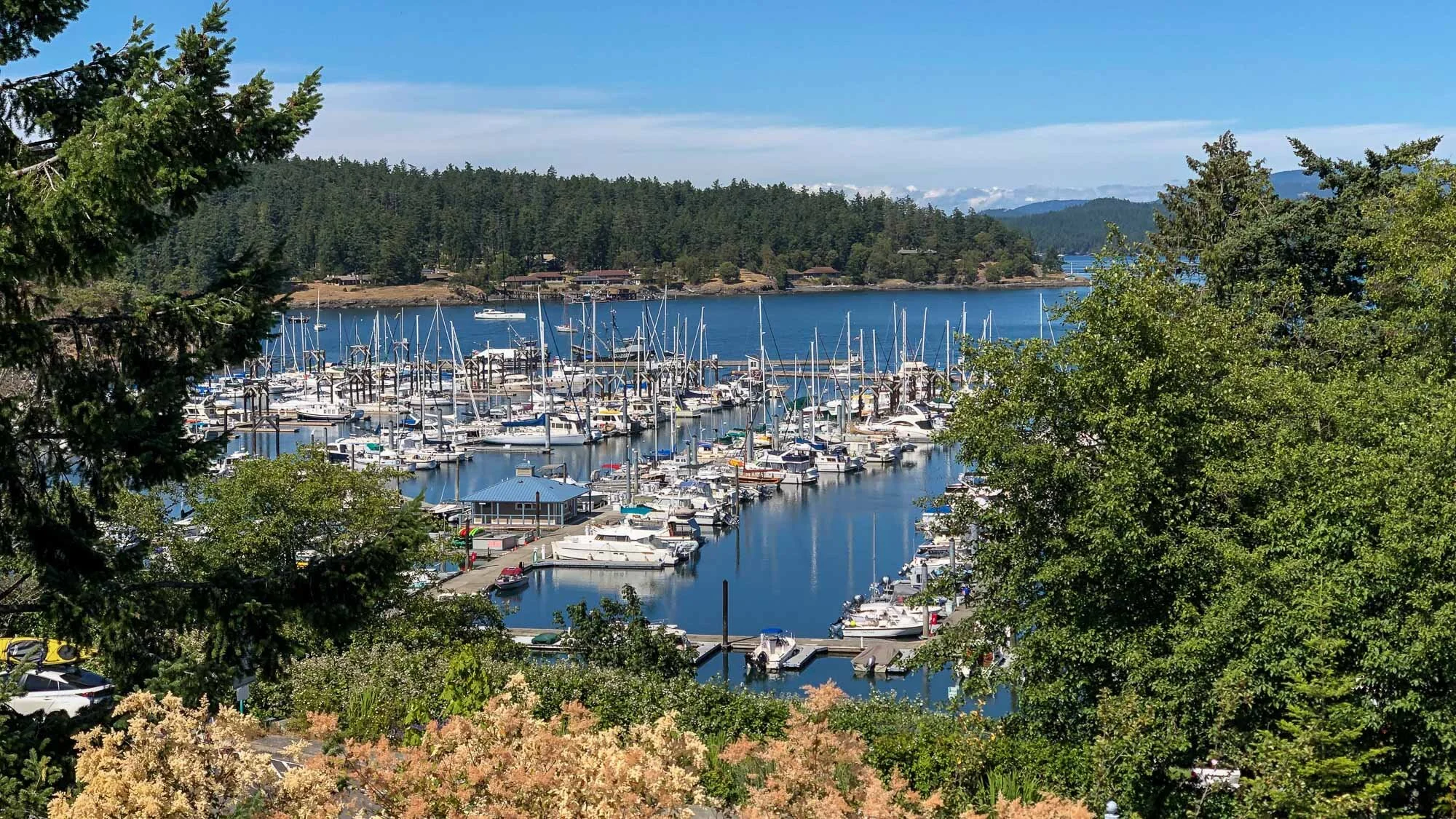 Überraschende Inselwelt