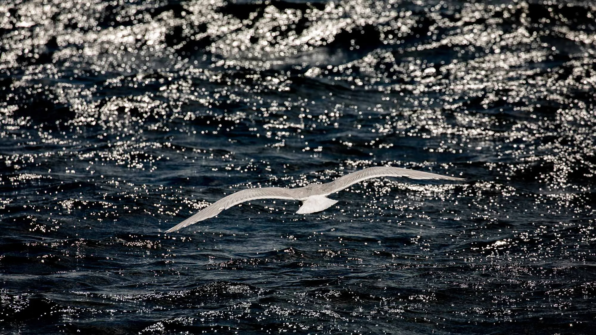 Das Besondere festhalten