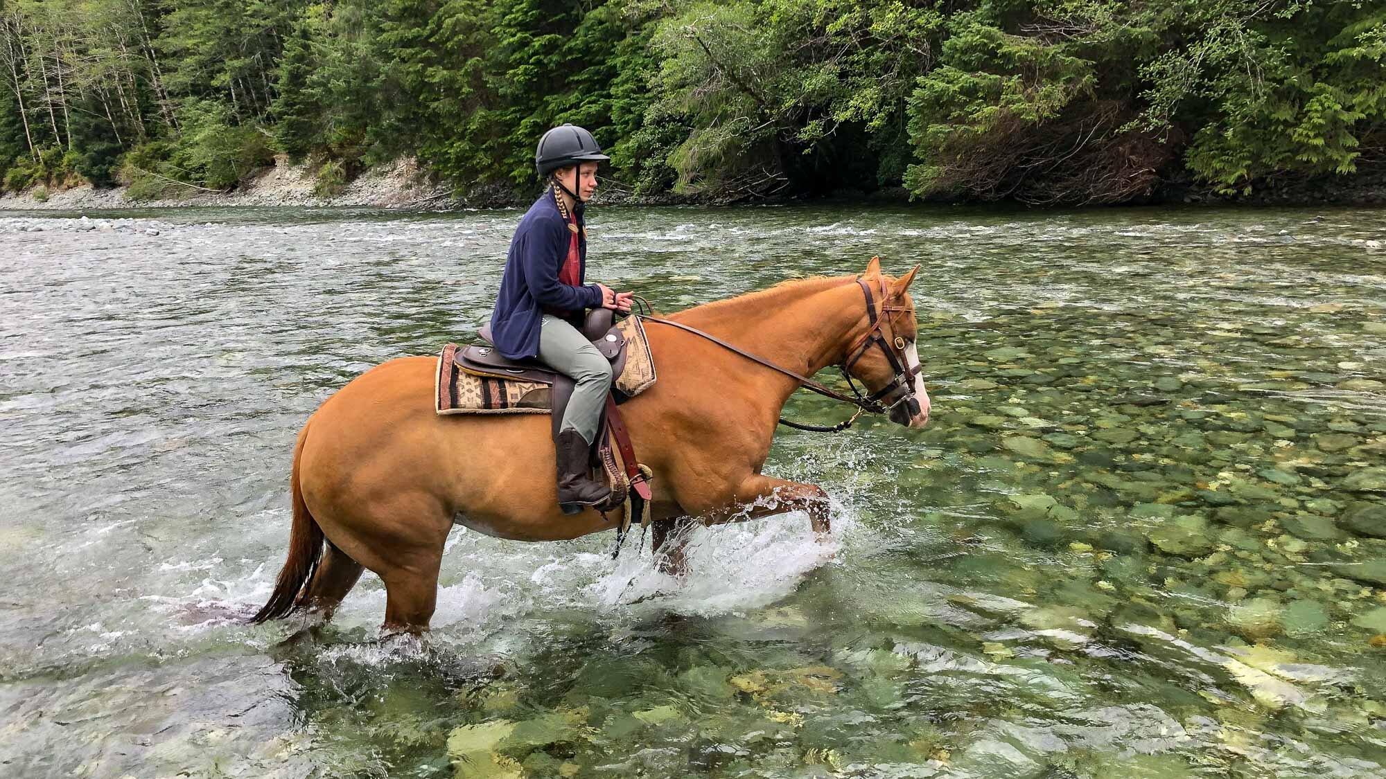 Auf dem Pferderücken