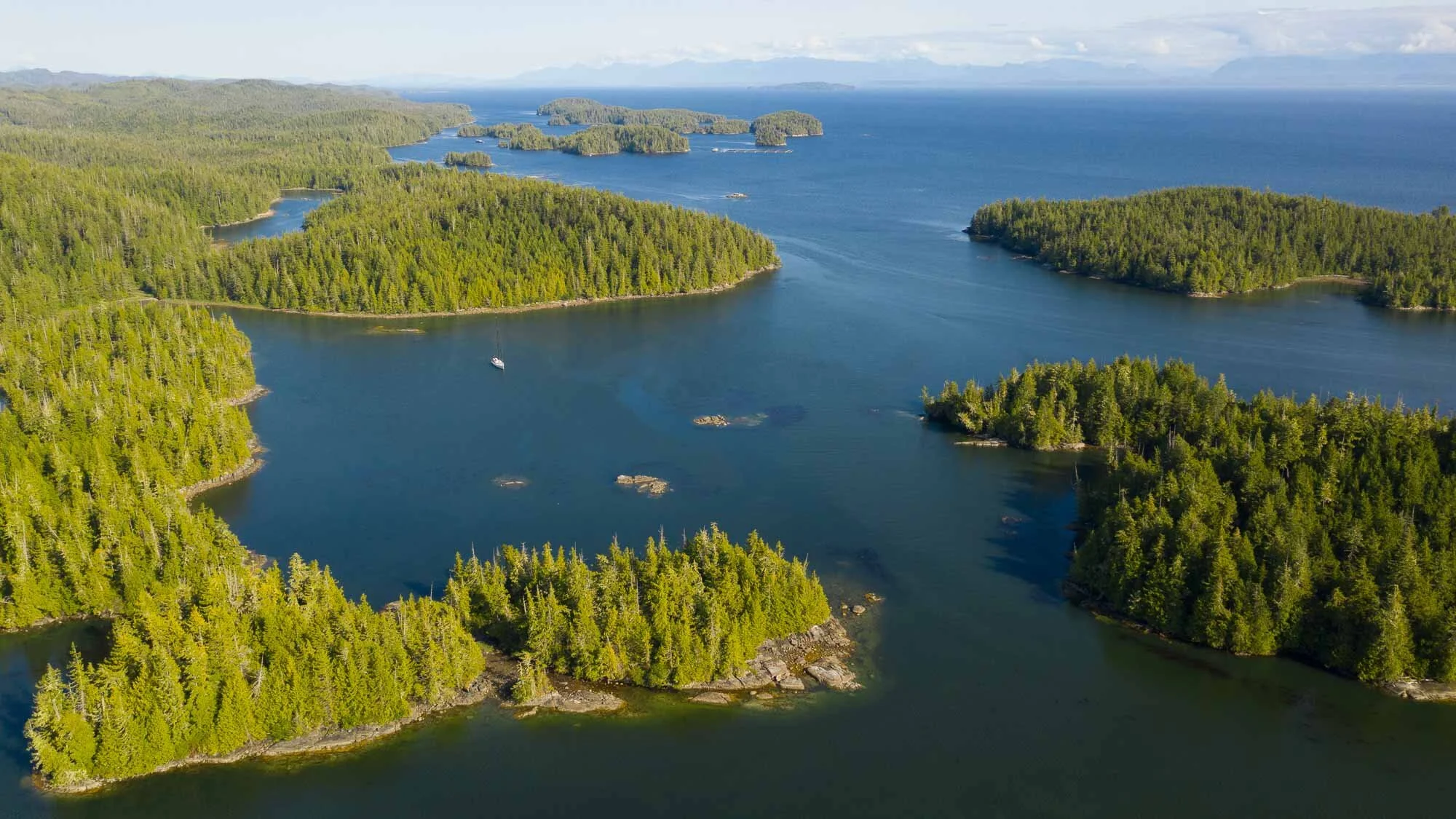 Als würde Malaika im Wald ankern