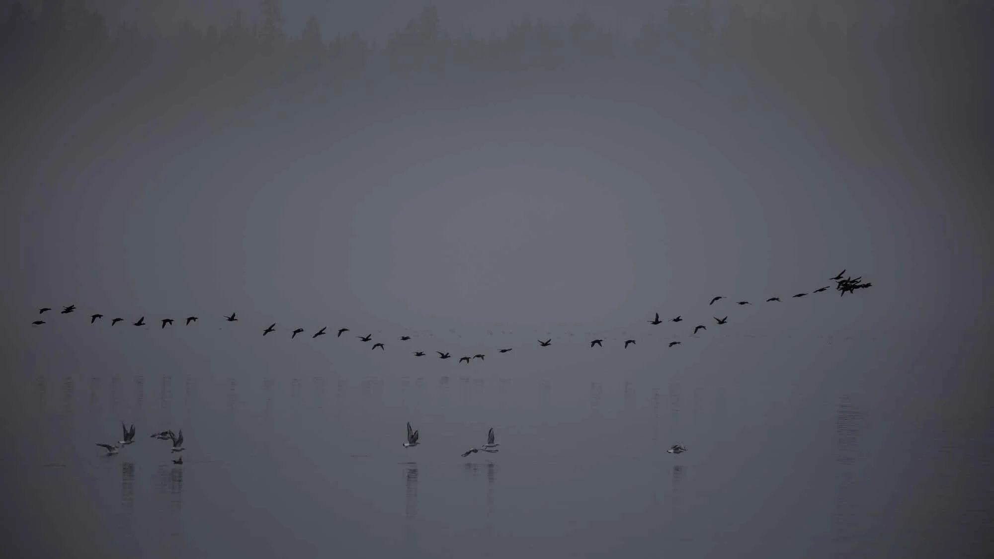 Grau in Grau – und dennoch schön