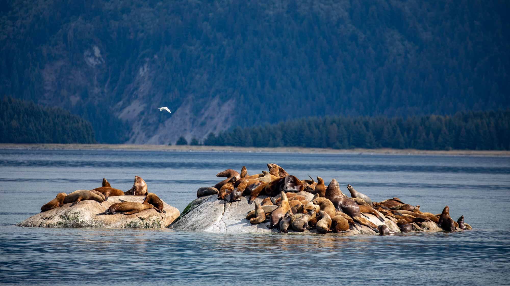 Probier's mal mit: Gemütlichkeit!