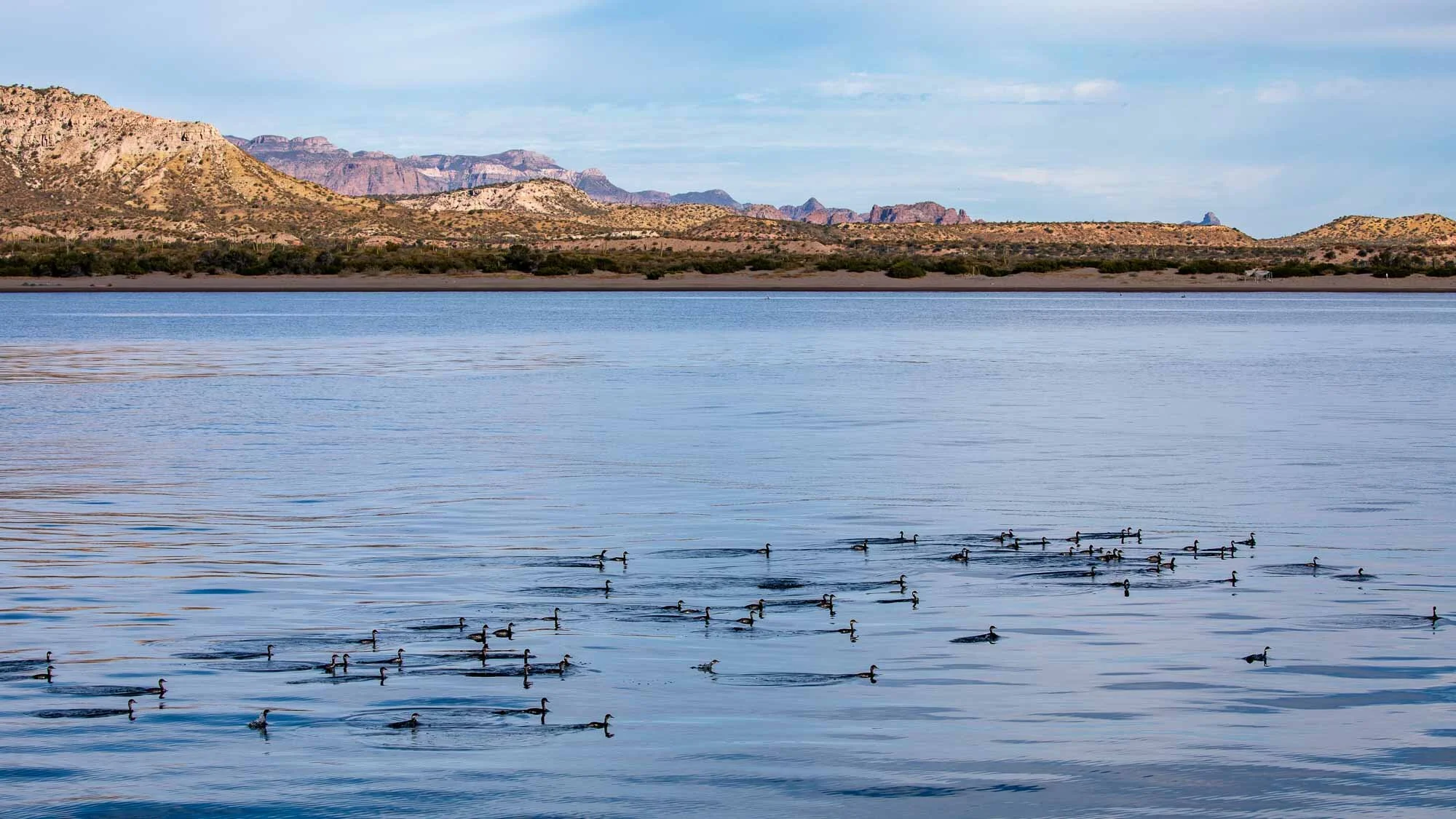 Kein Wind auf der Weiterfahrt