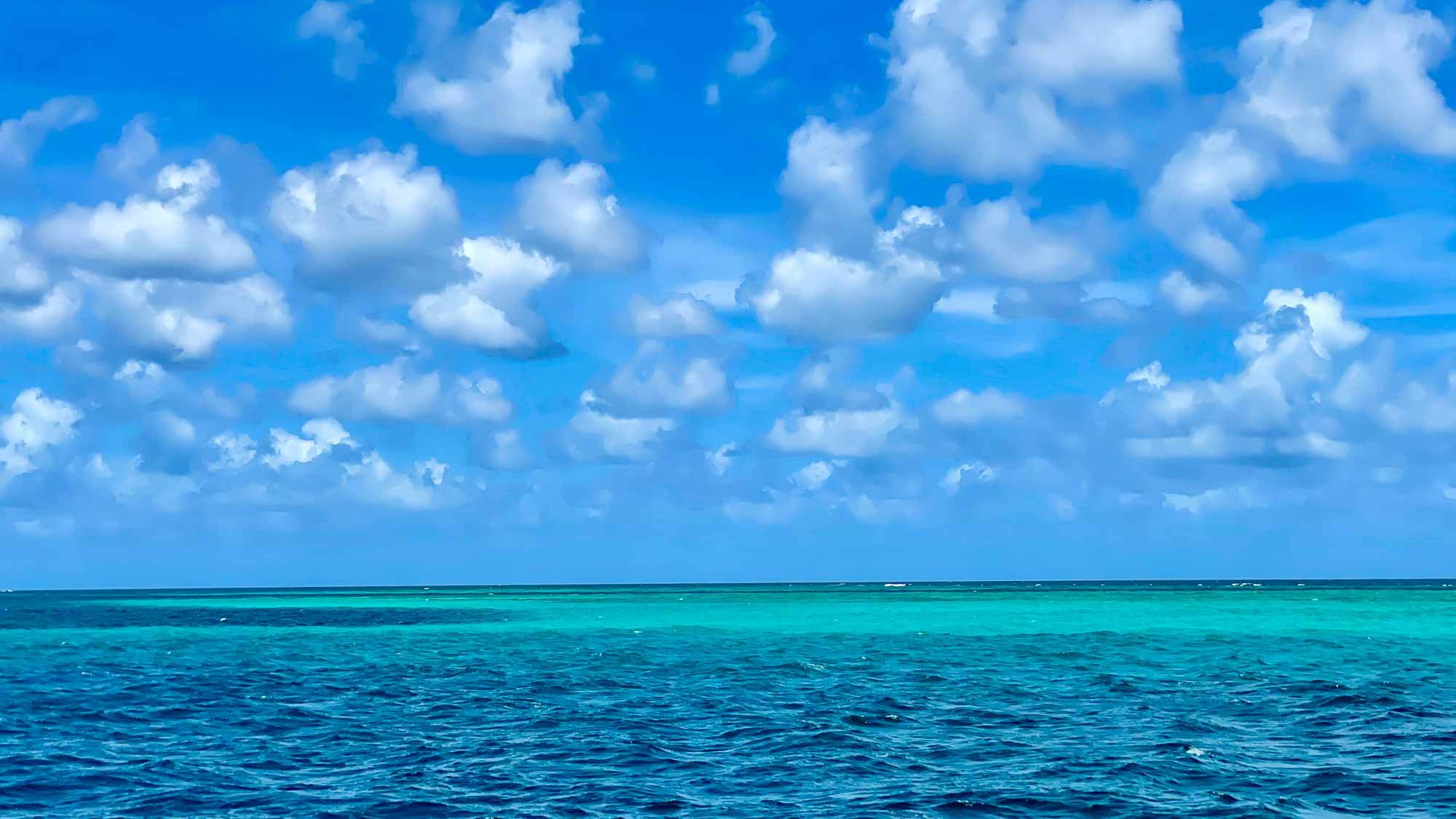 Hier befindet sich auch das Korallenriff "Horse Shoe Reef"