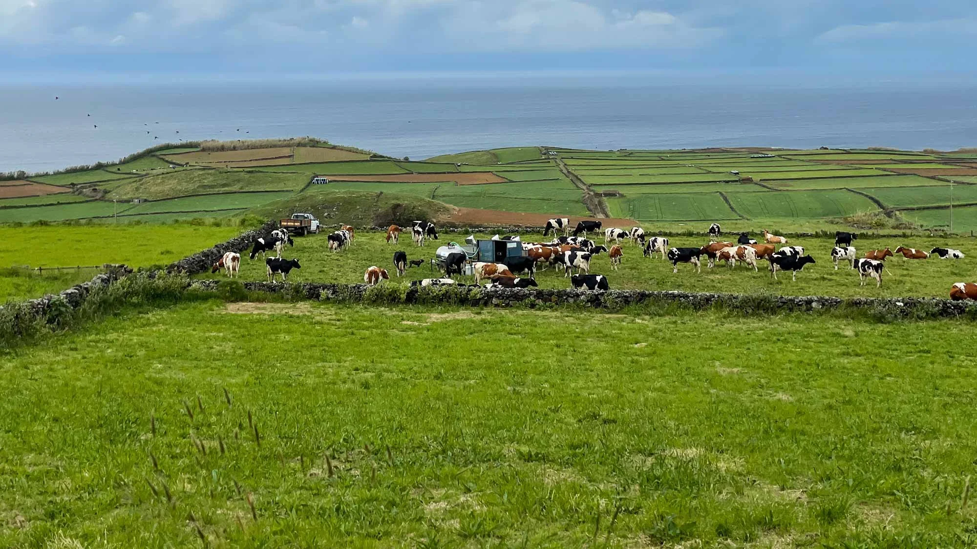 Impressionen von Terceira