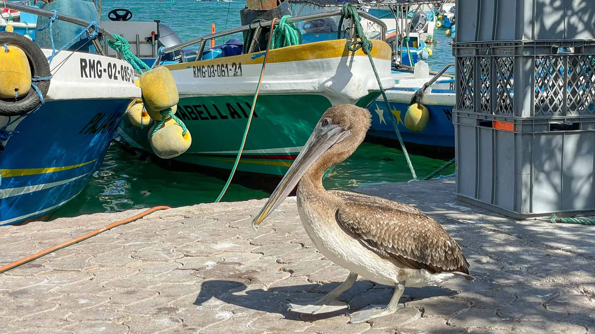 Auftakt mit vielen Eindrücken
