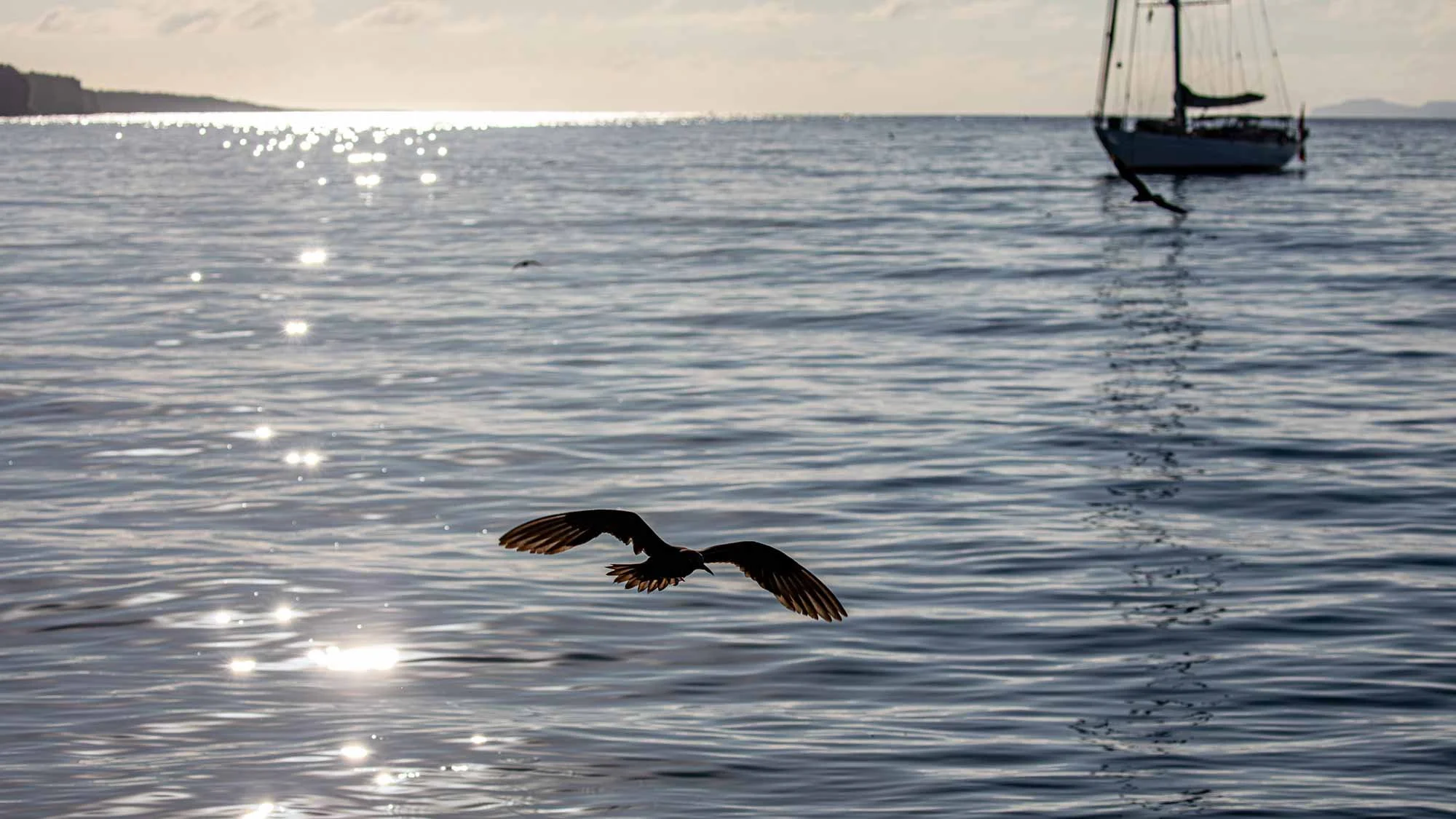 Entdeckungstour auf Santa Cruz 