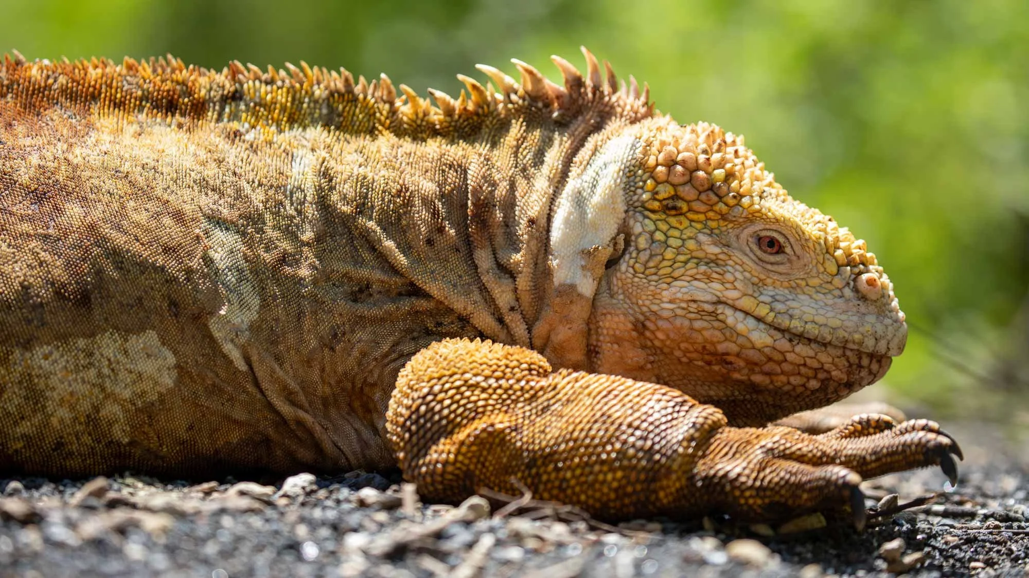 Kurze Erkundung, dann geht es weiter 