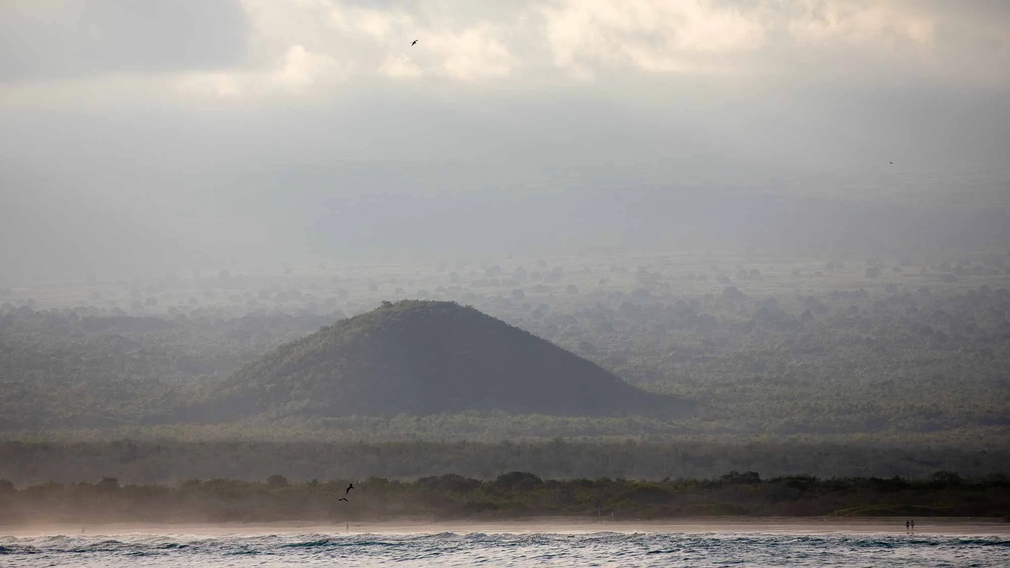 Meilen machen nach Süden