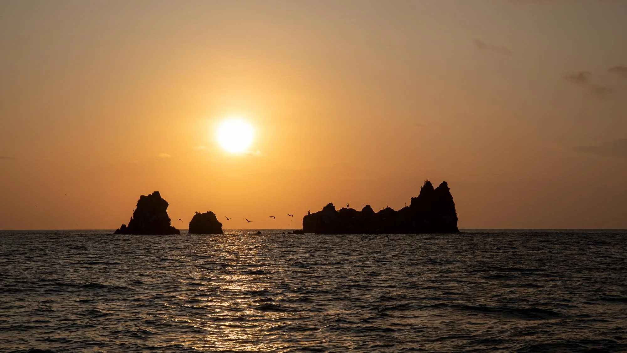 Ein intensiver Tag geht zu Ende