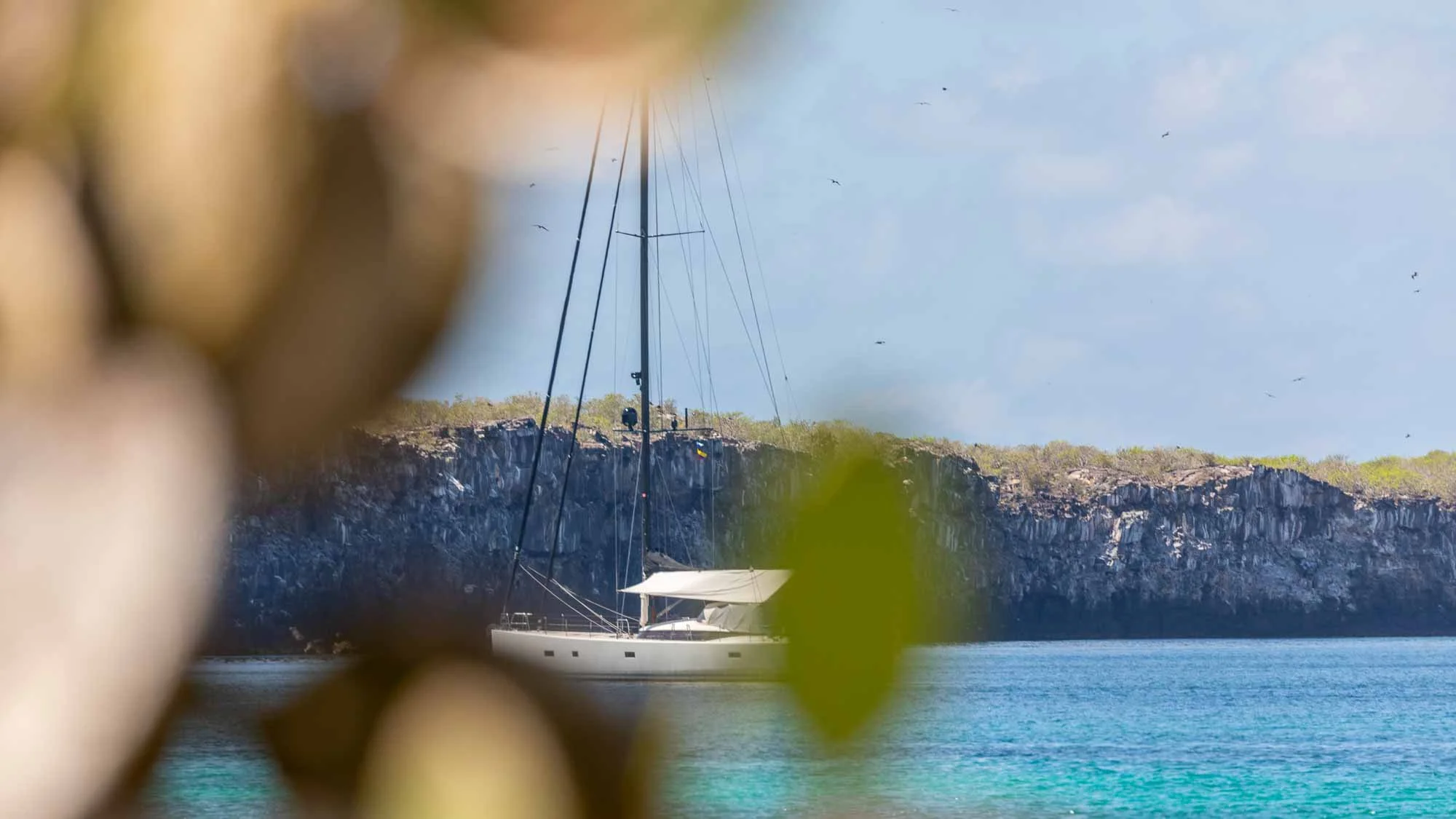 Im Herzen der Evolution