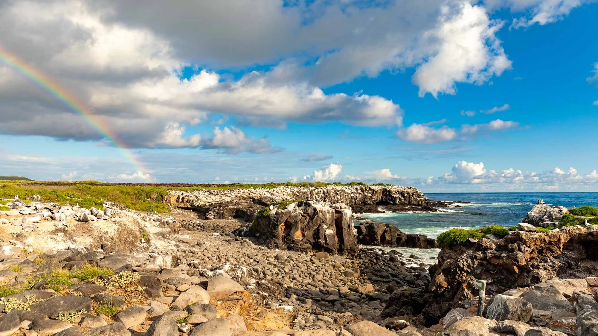 Grandioses Galapagos-Finale