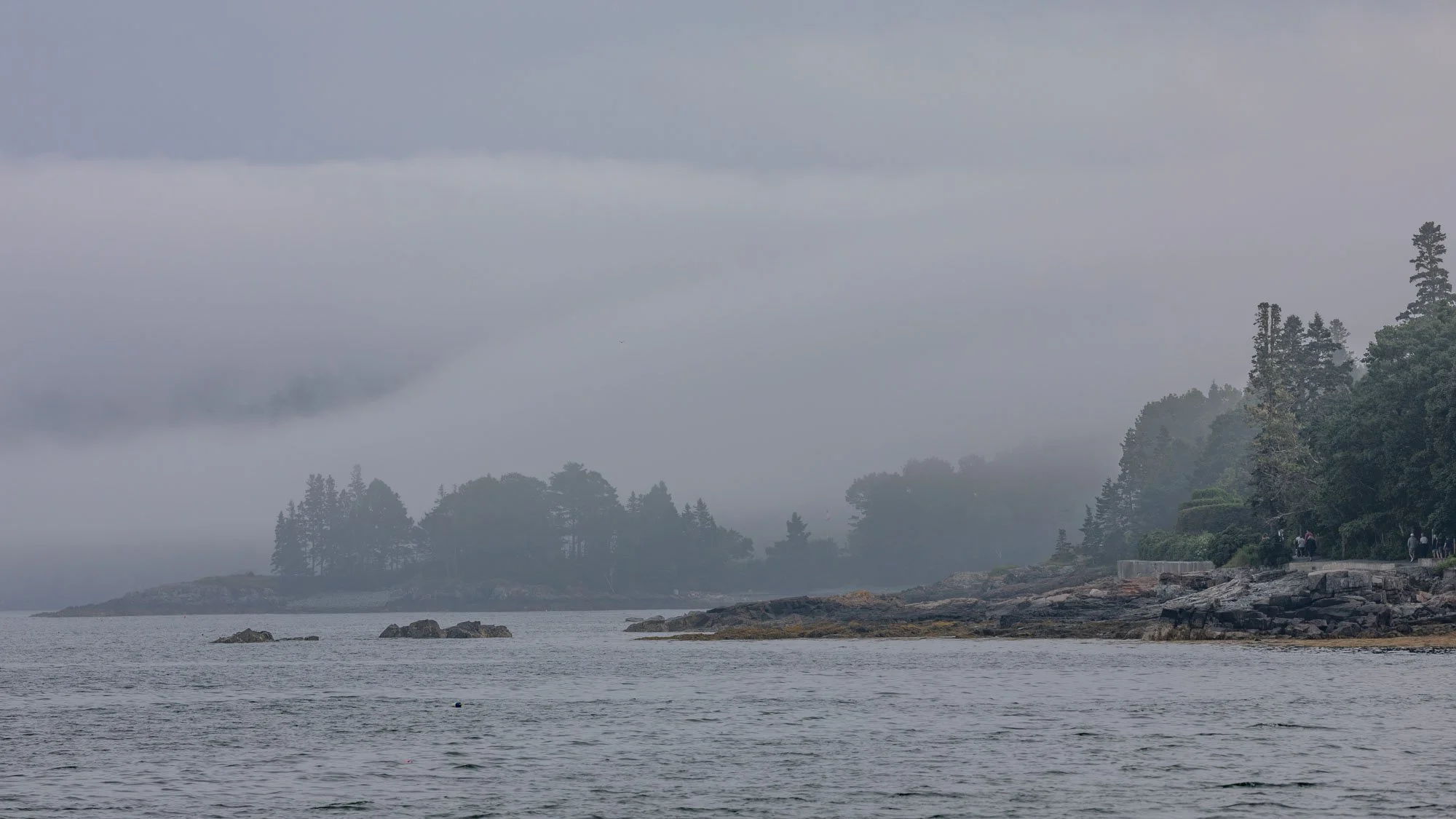 Mystische Grauschattierungen