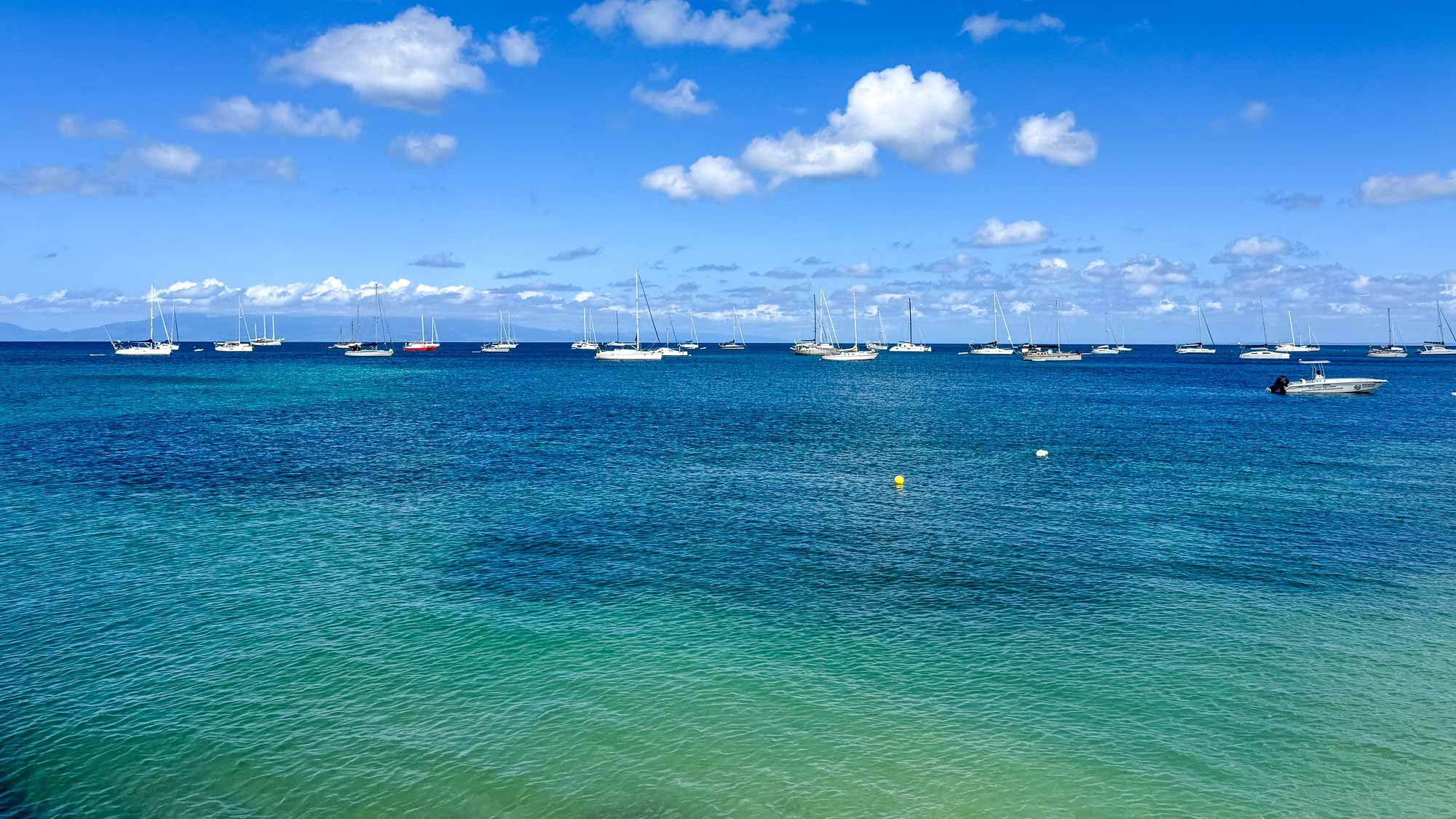 Auf der kleinen Antillen Insel