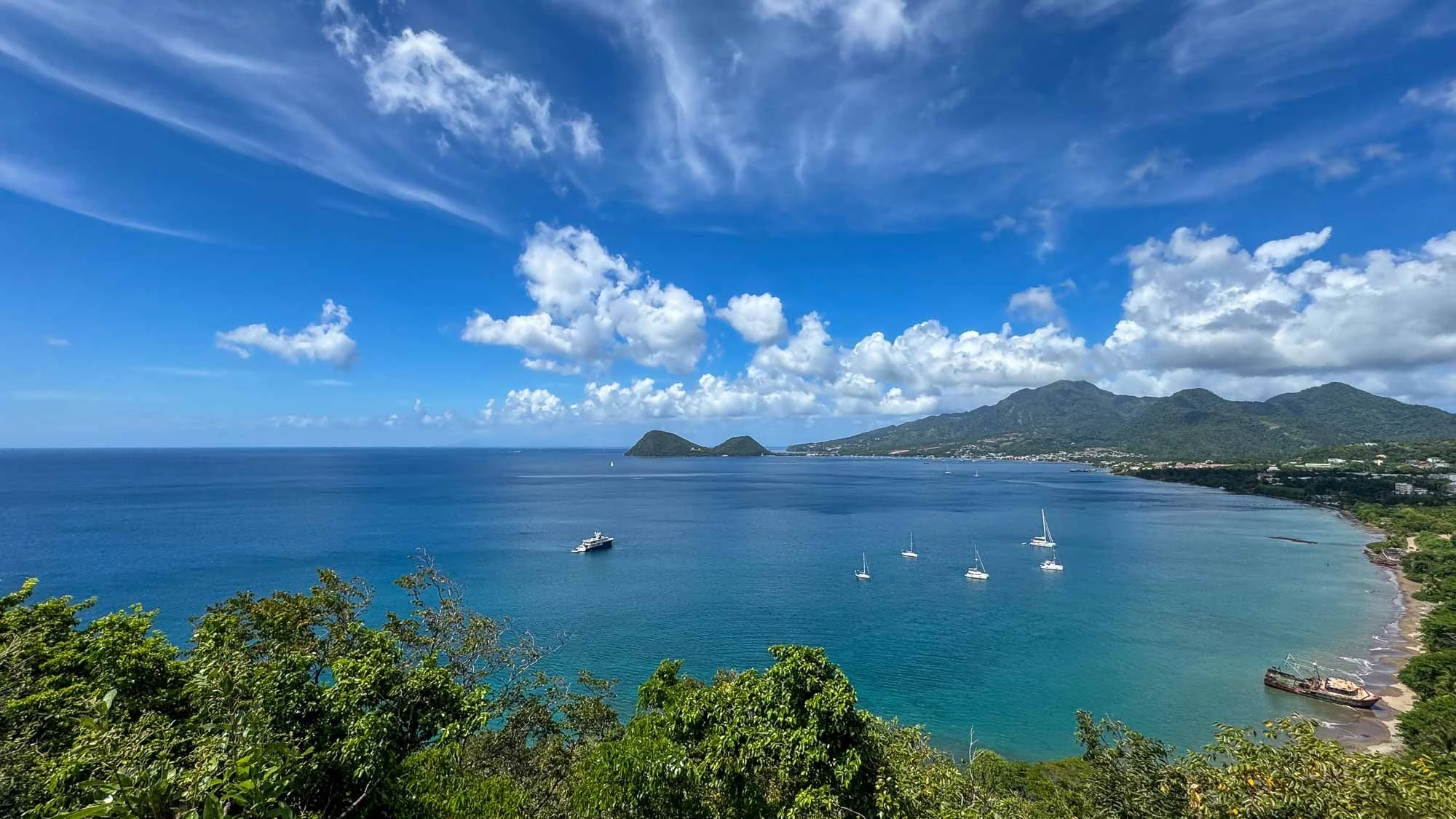 Sattes Grün vor sattem Blau