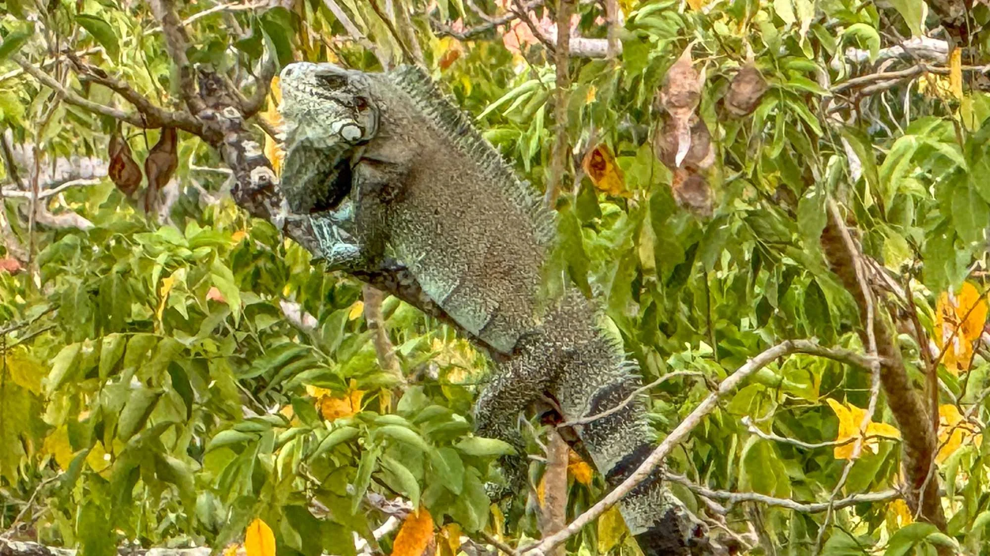 Begegnungen in der Natur