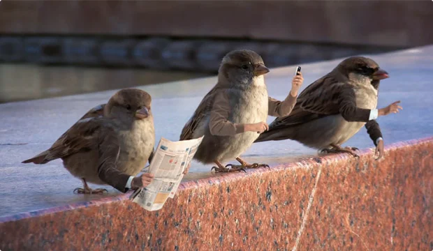 asus-modern-birds-img03.jpg