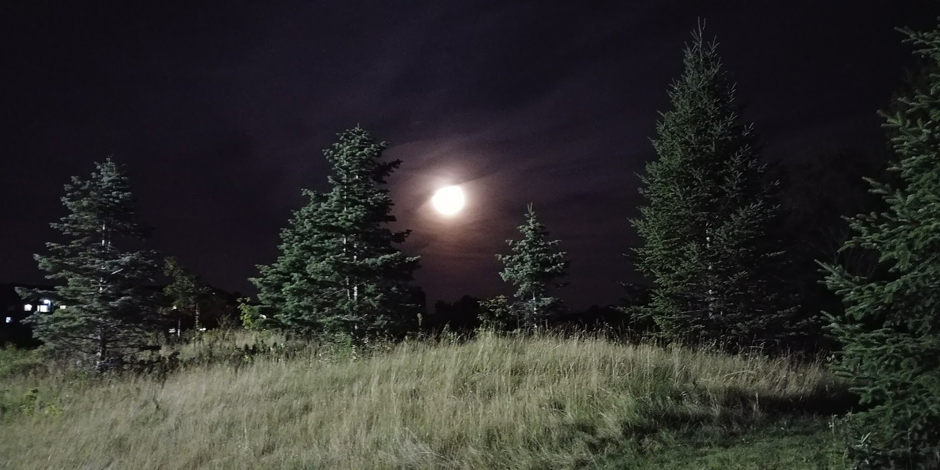 20170808_220213.jpg