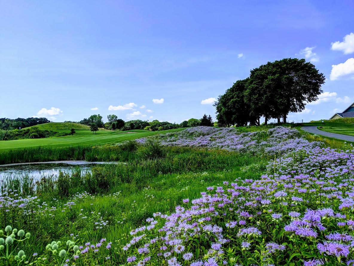 Flowers.jpg