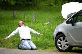 roadside.jpg