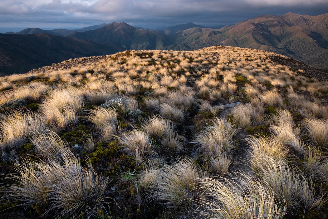 landscape.jpeg