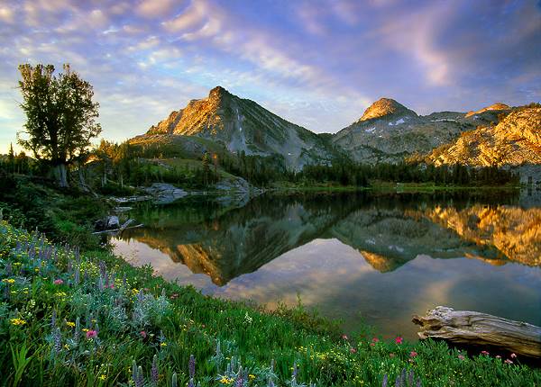 Summer-Lake.jpg